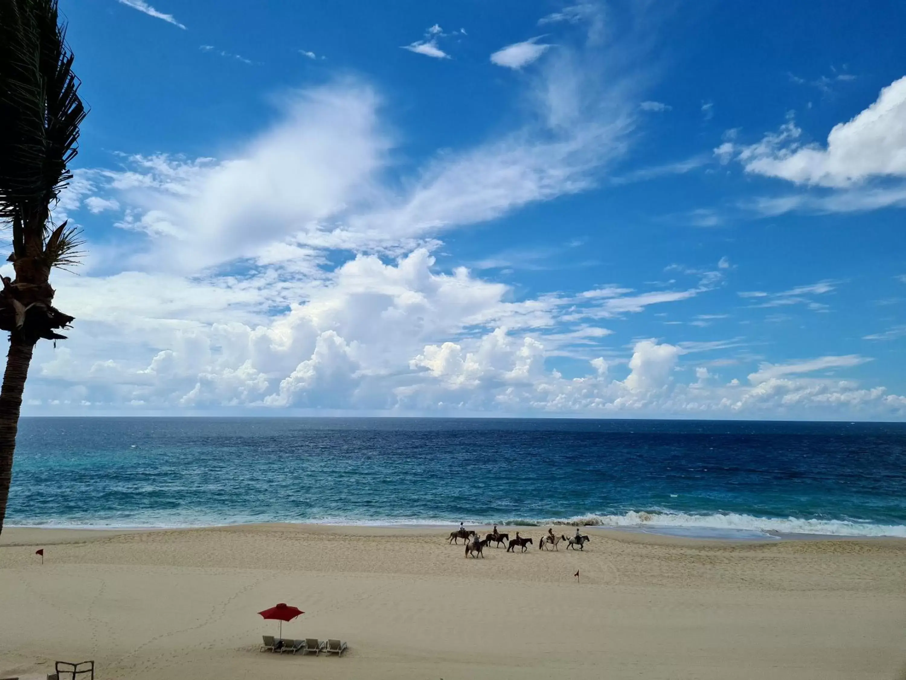 View (from property/room), Beach in Zoetry Casa del Mar Los Cabos