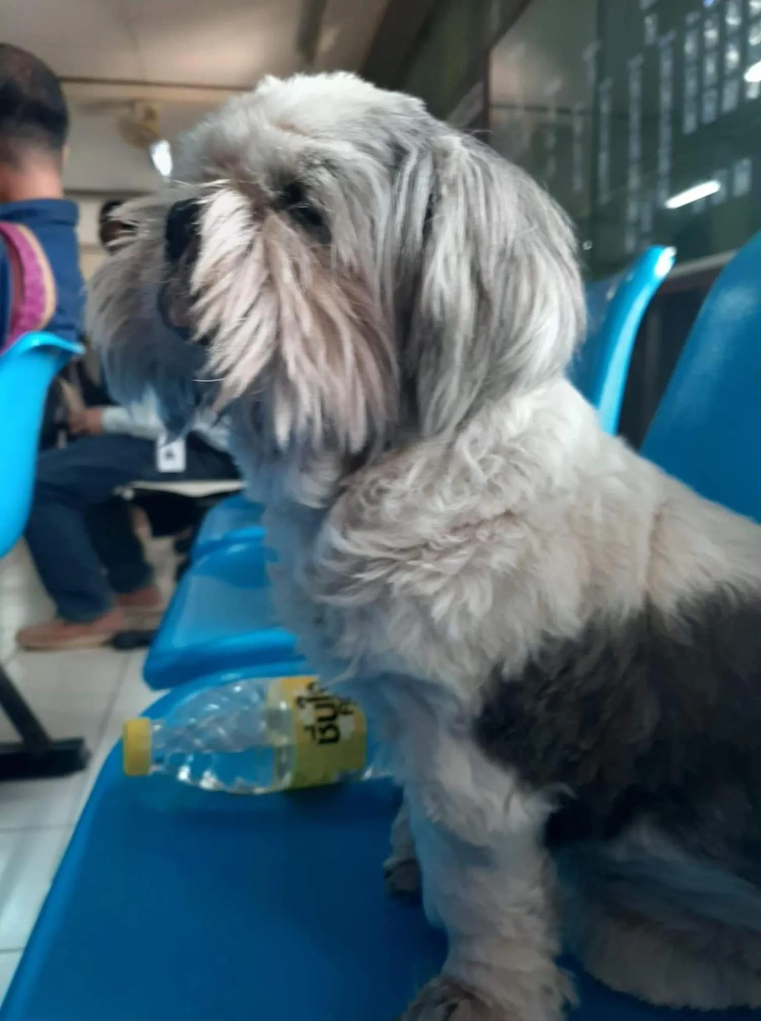 Vanlisut Hotel Ngamwongwan