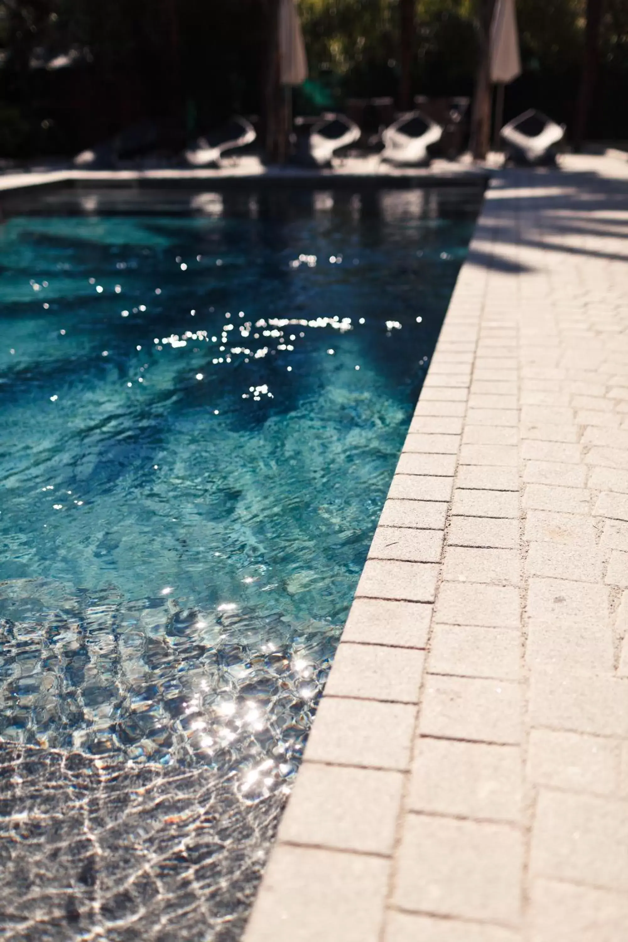 Swimming Pool in GOLDEN TULIP CANNES HOTEL de PARIS