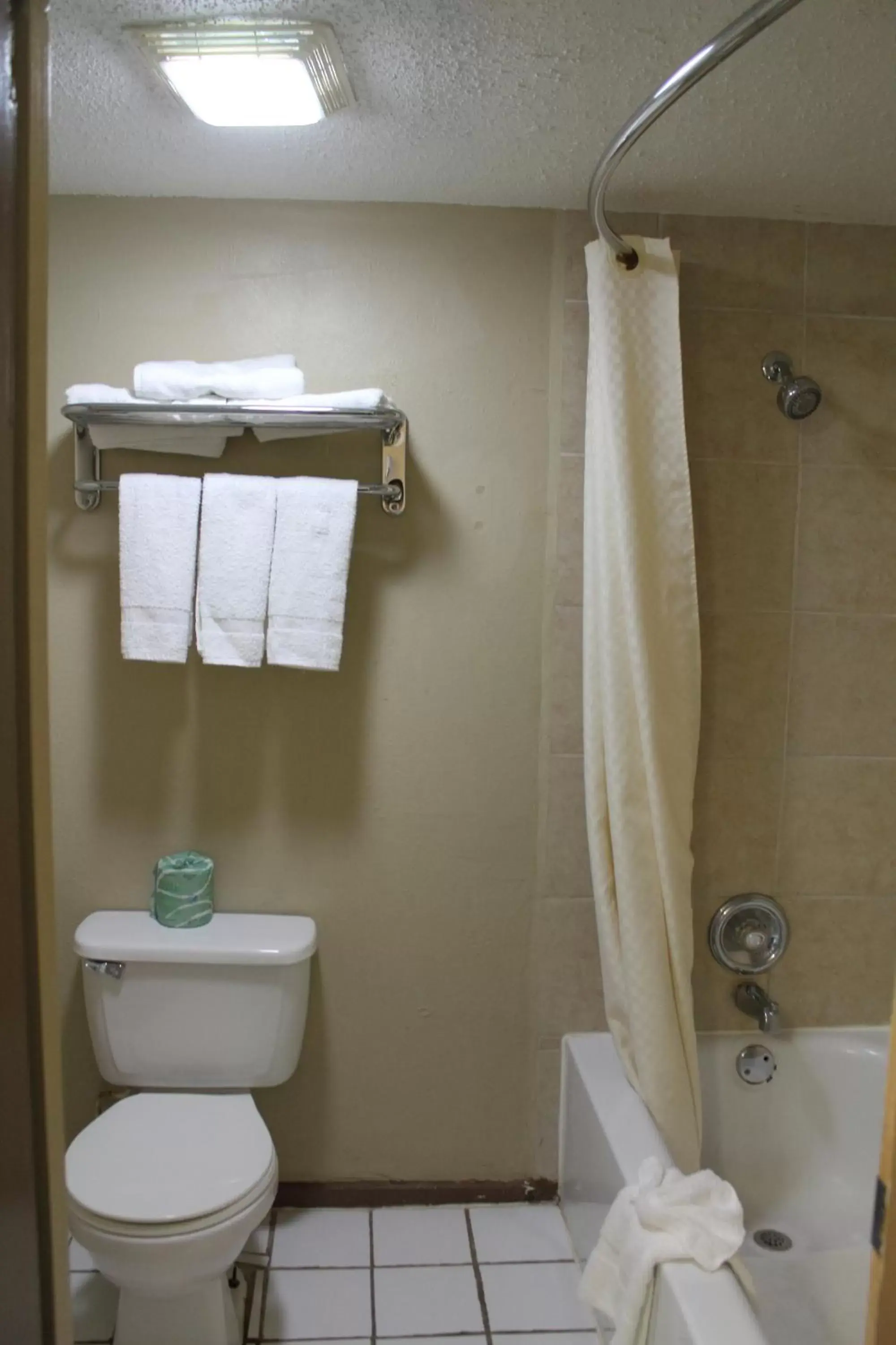 Bathroom in Continental Inn and Suites