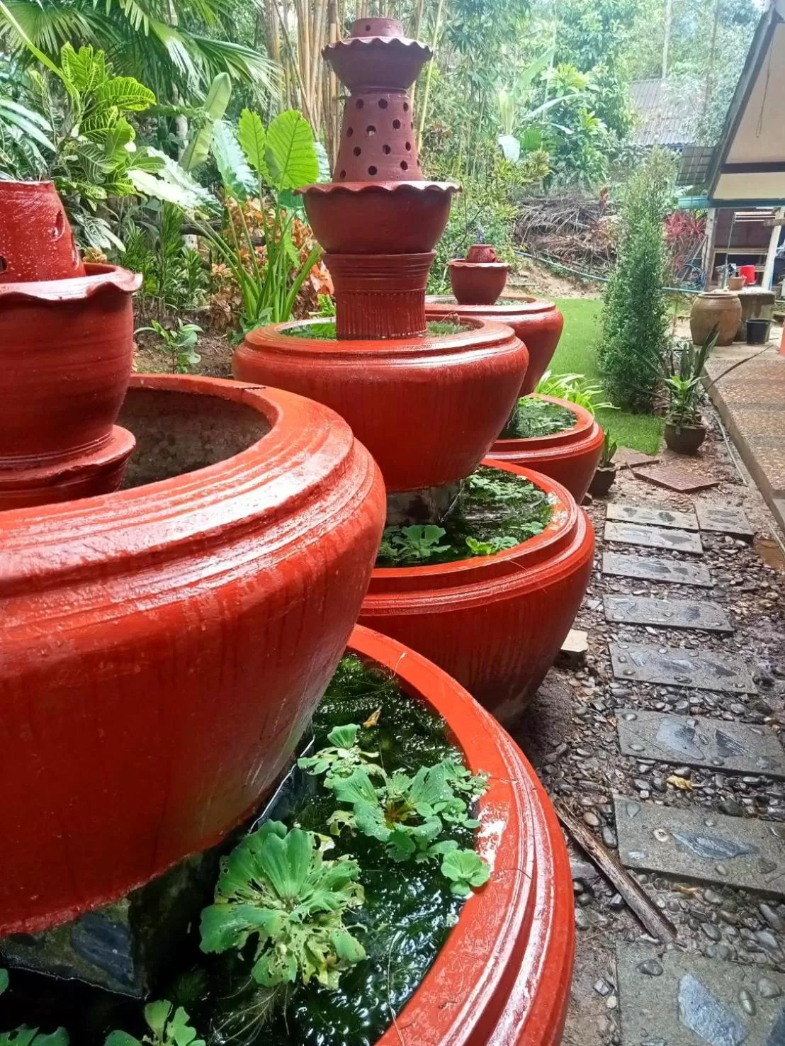 Garden in Khao Sok Las Orquideas Resort