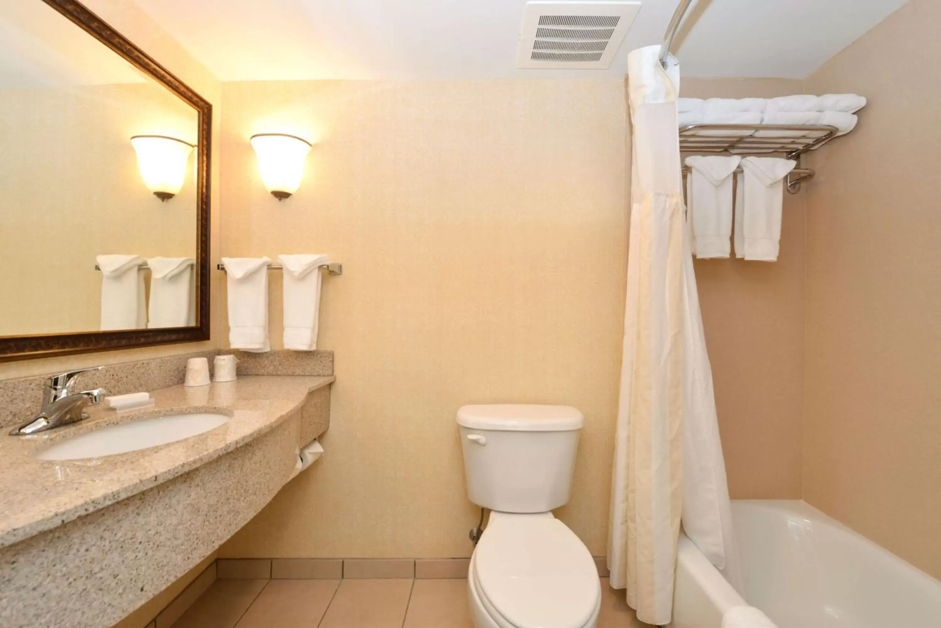 Bathroom in Hilton Garden Inn Terre Haute