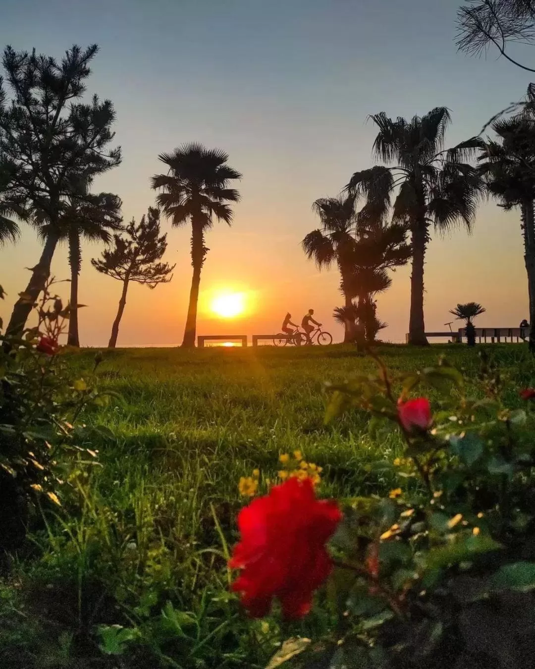 Spring, Sunrise/Sunset in Aparthotel Orbi City Batumi