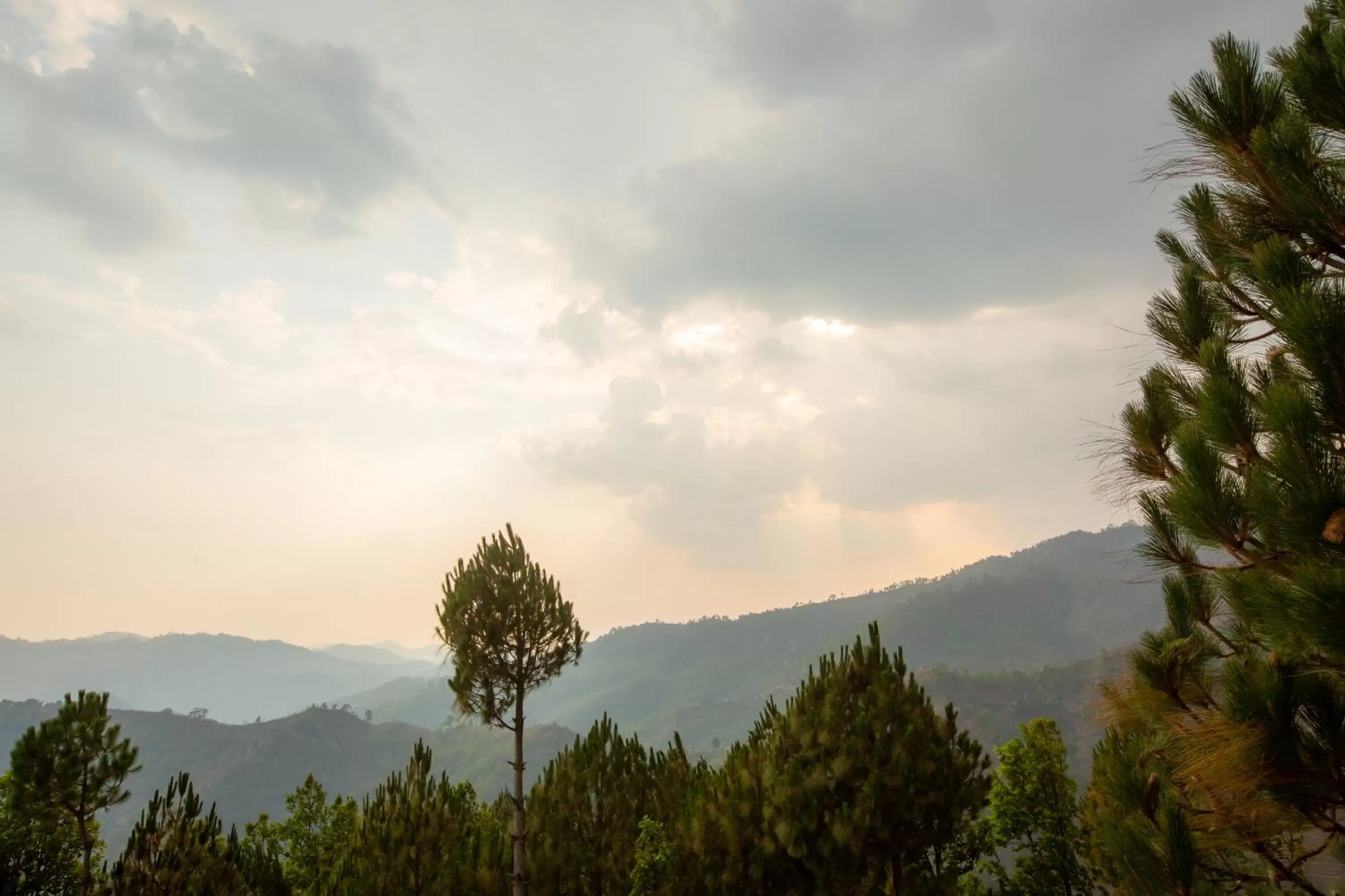 Mountain View in Blue Pine Orchards - Villas