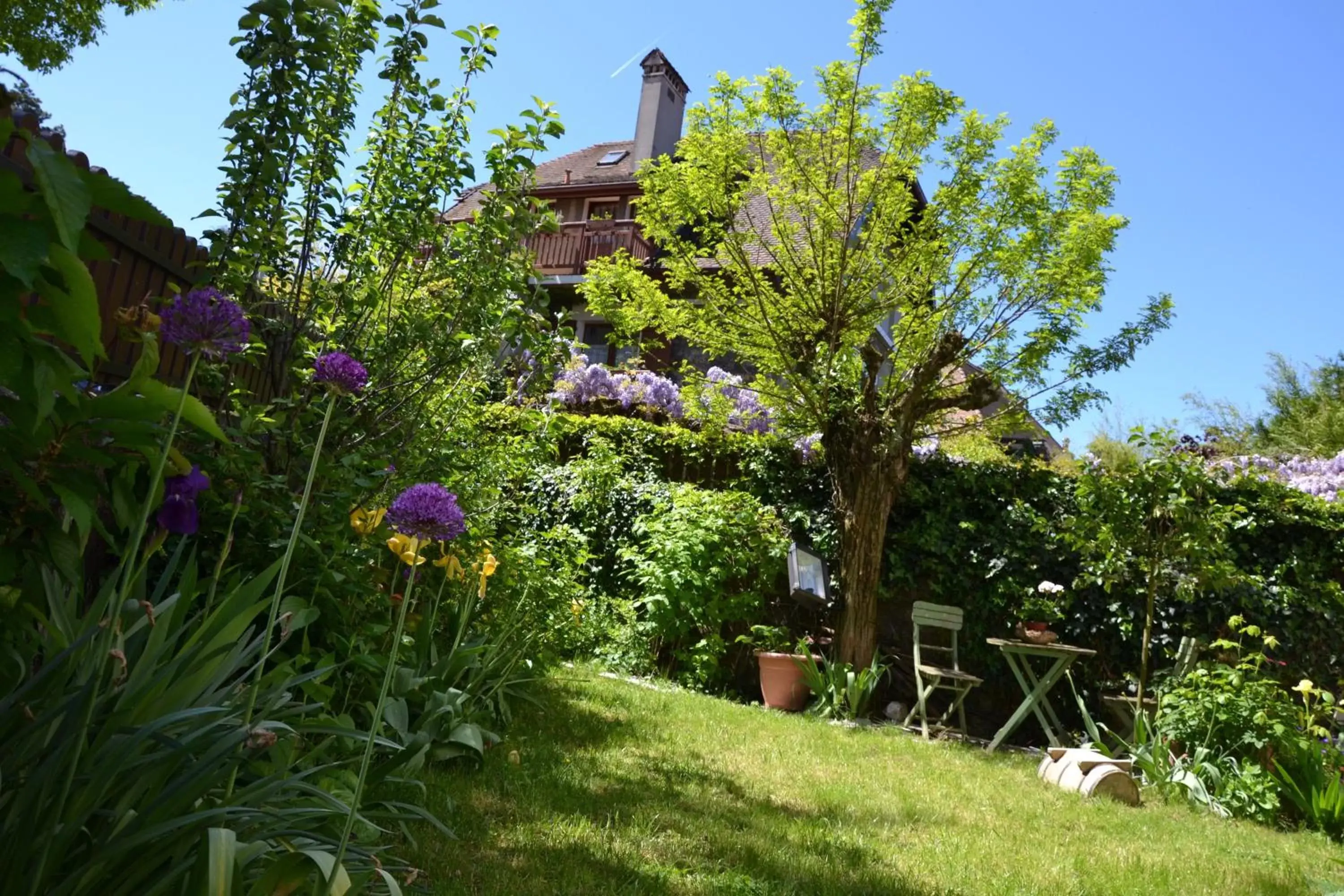 Garden view, Garden in Hôtel du Château