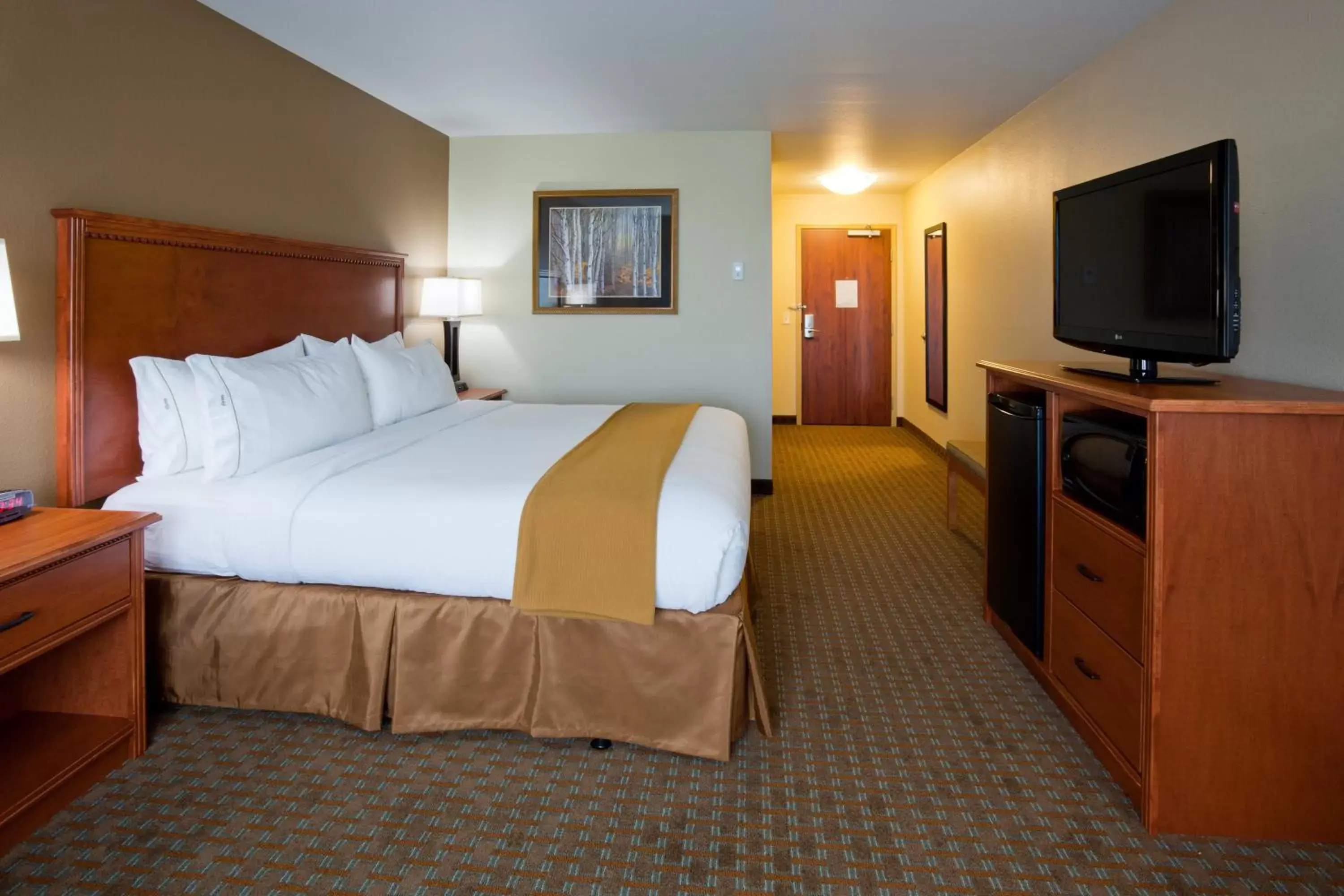 Photo of the whole room, Bed in Holiday Inn Express Hotel & Suites Shakopee, an IHG Hotel