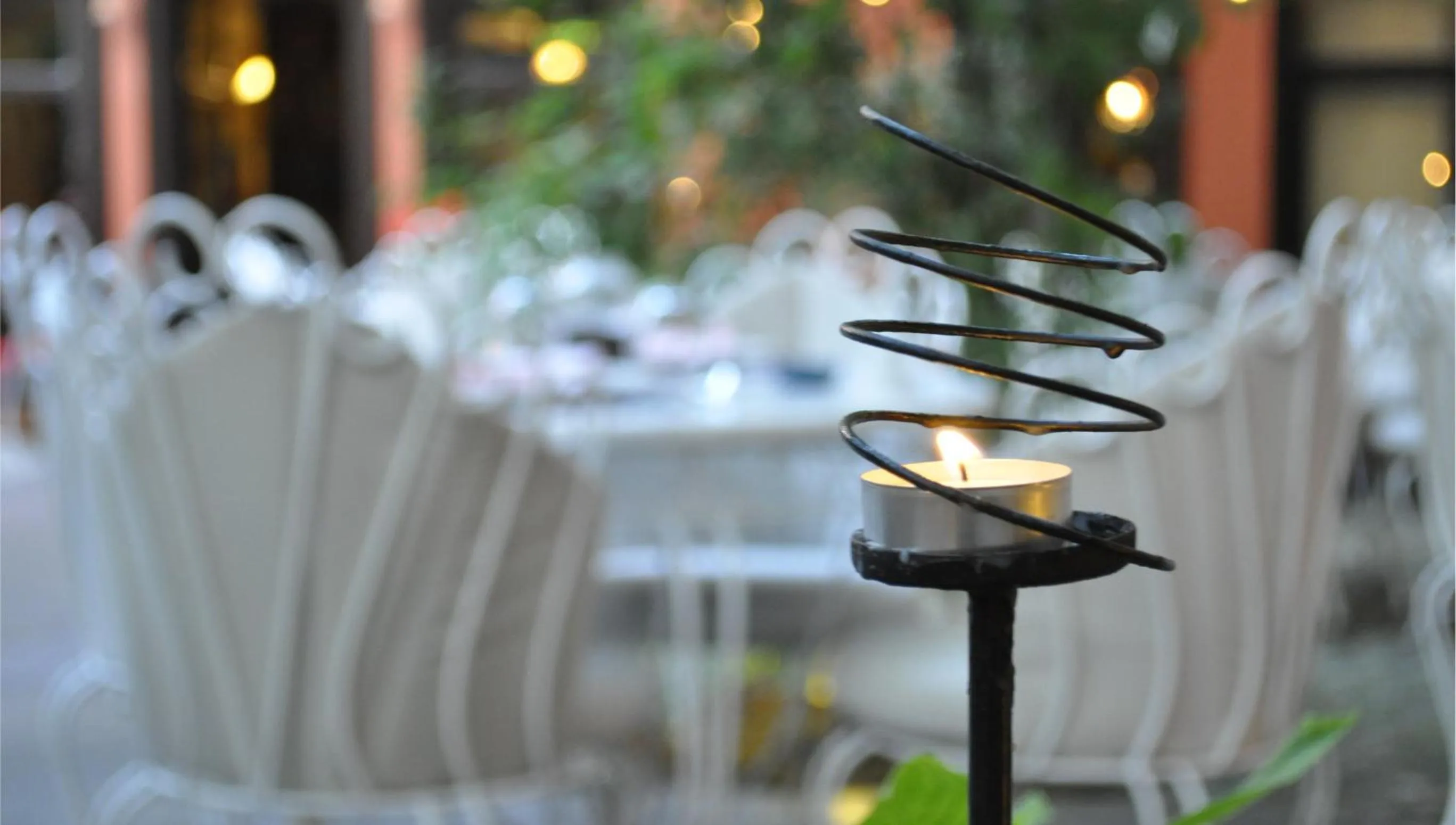 Garden in Kitapevi Hotel