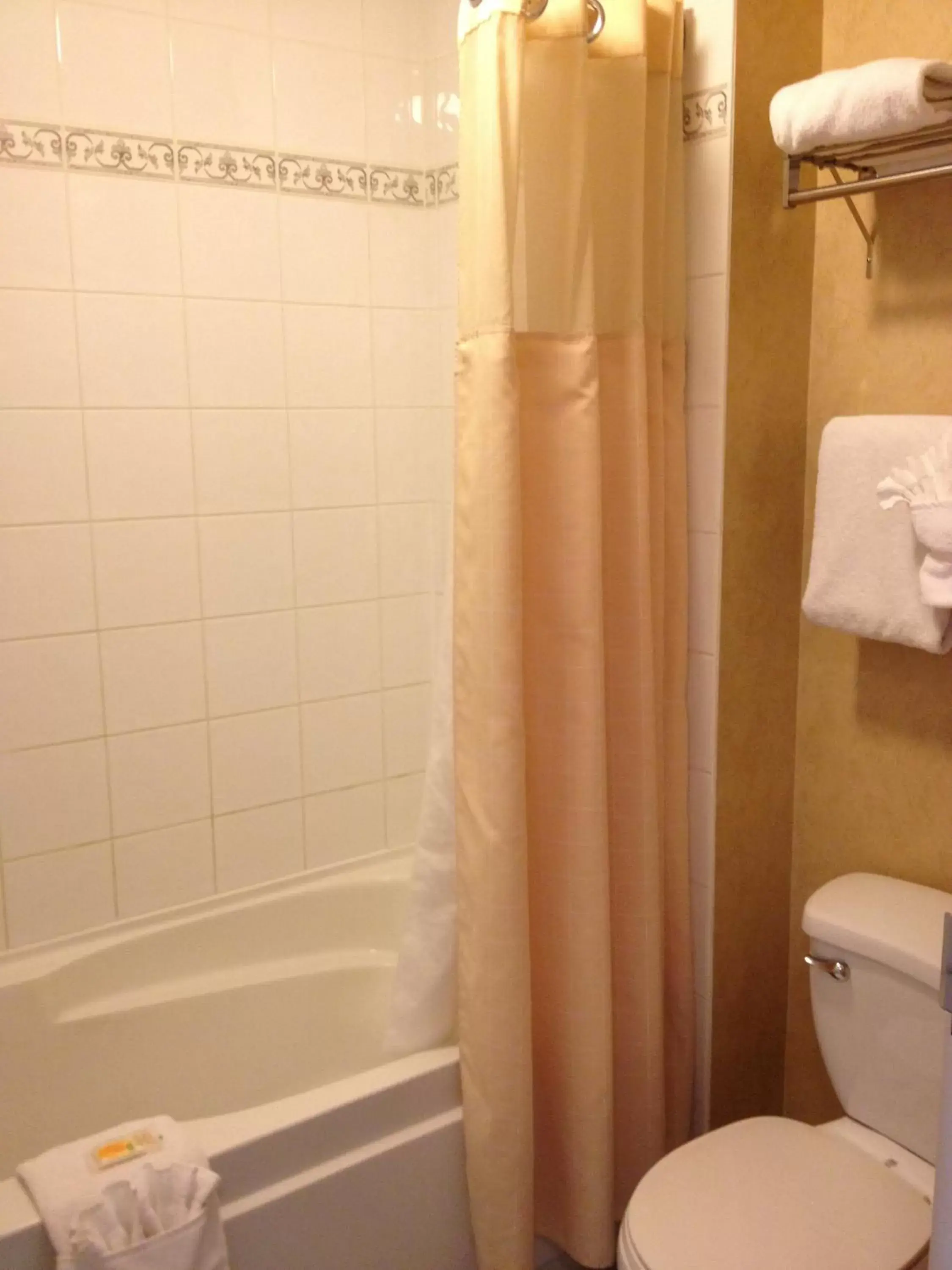 Bathroom in Holiday Inn Hotel & Suites Osoyoos, an IHG Hotel