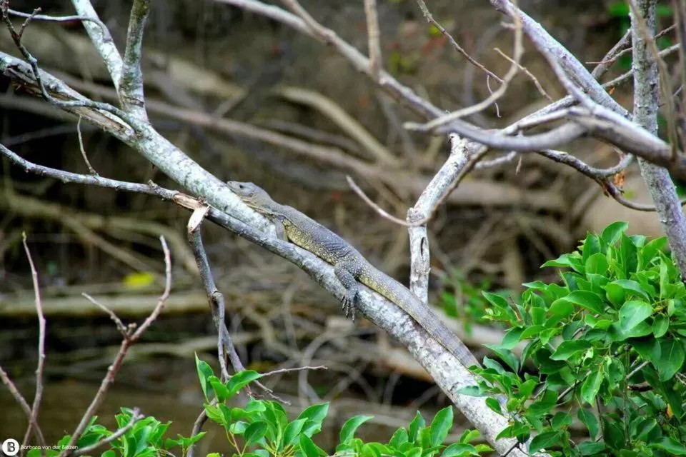 Dragon Pearl Beach Resort