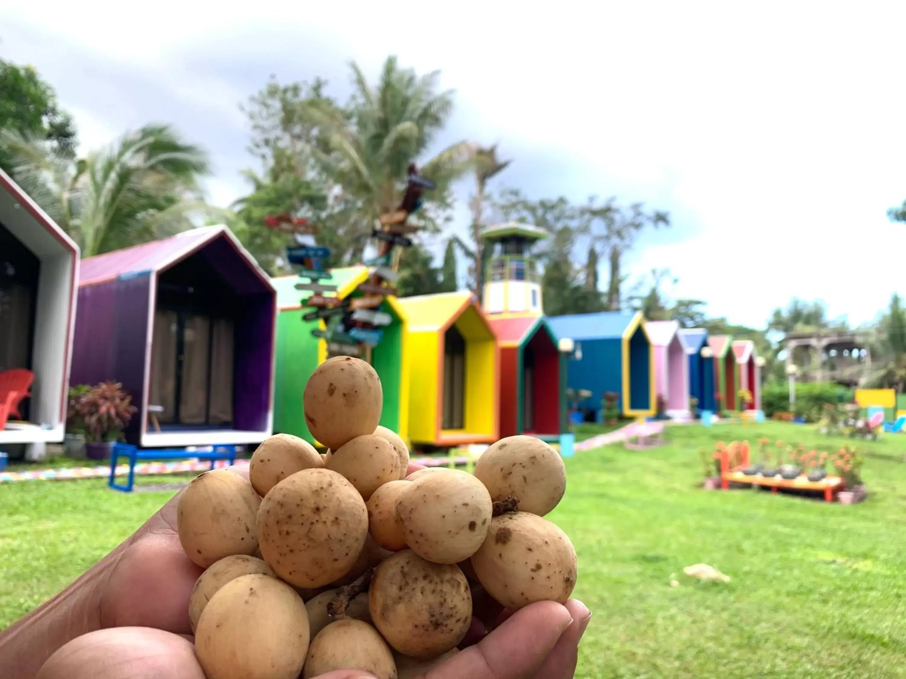 Food and drinks in Lanzones Cabana Food and drinks in Lanzones Cabana