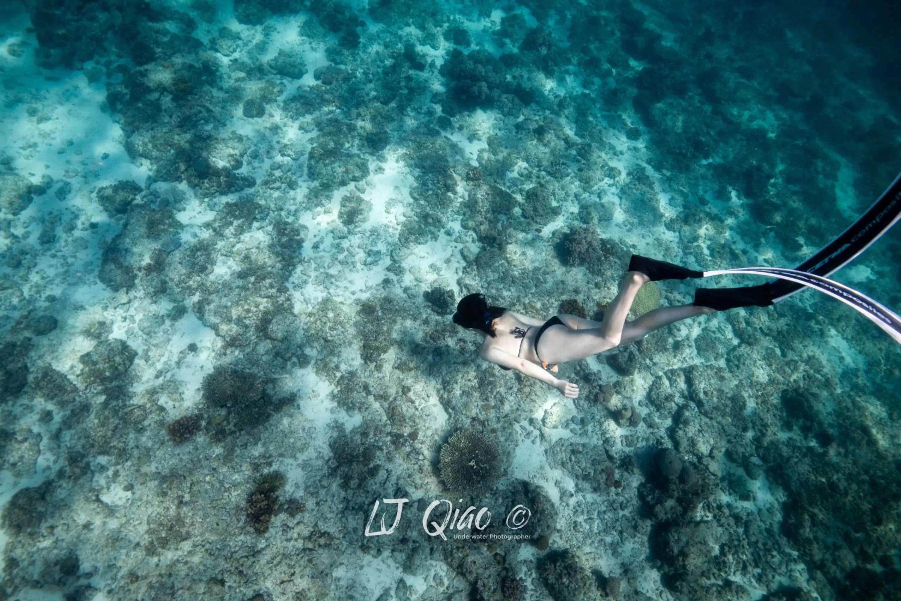 People in Sugarsea Inn & Dive shop