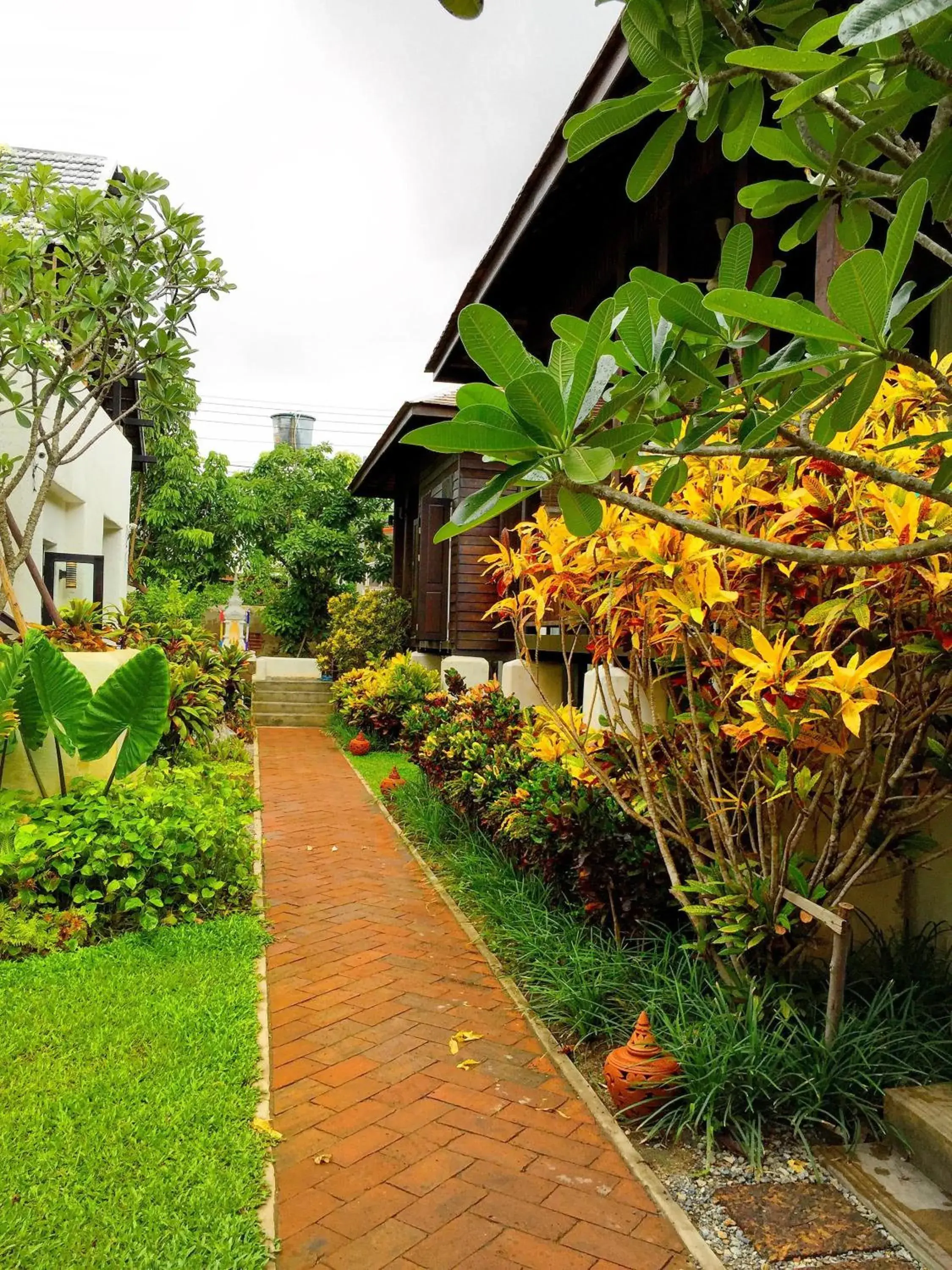 Garden in Baan Saen Fang Chiang Mai - SHA Plus