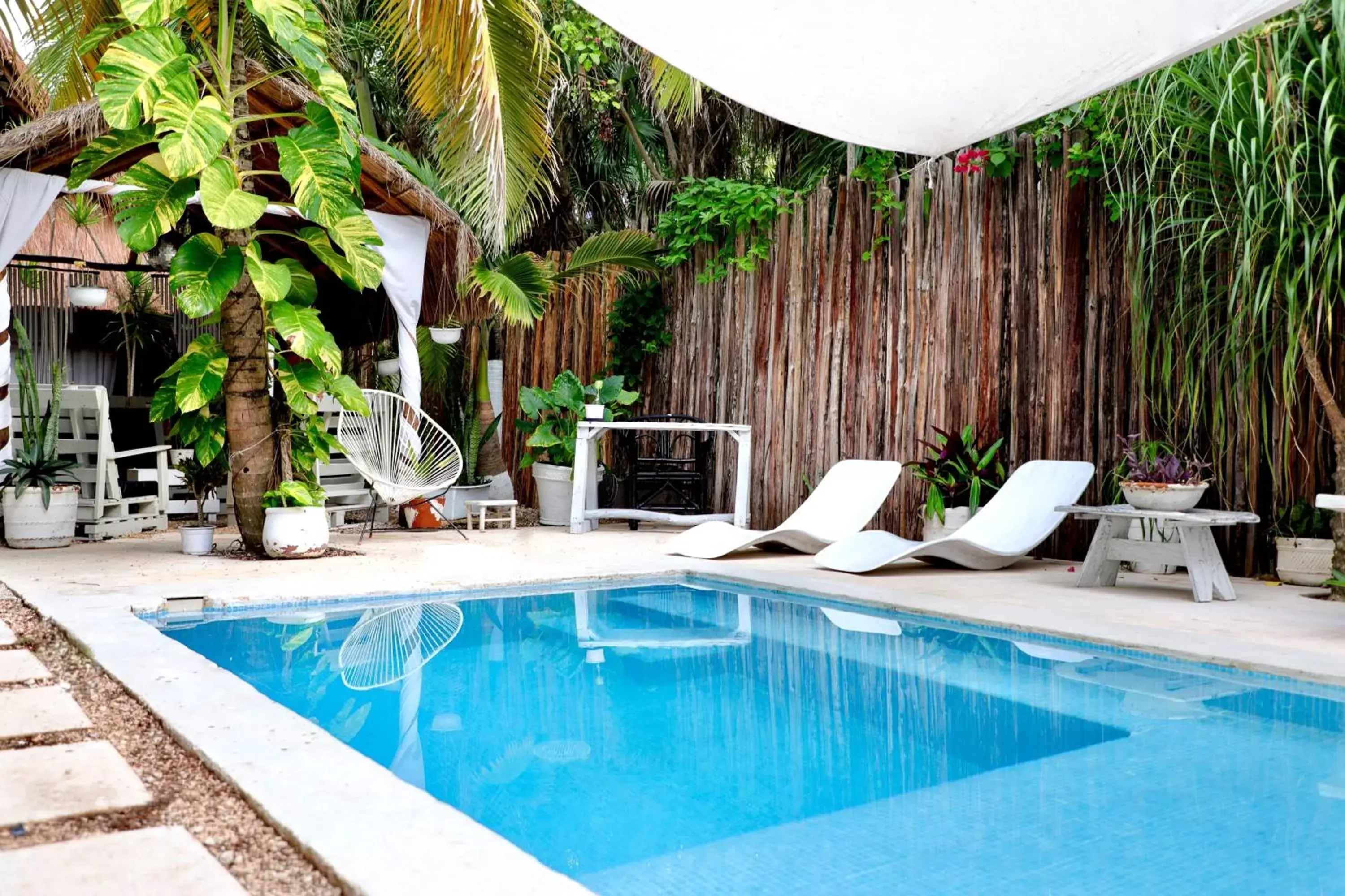 Pool view, Swimming Pool in Residencia Gorila