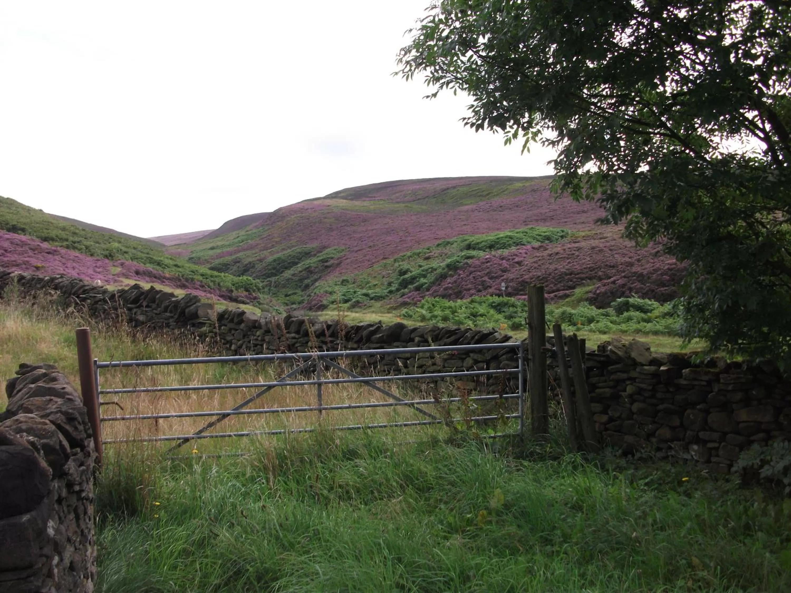 Summer in The Lantern Pike Inn
