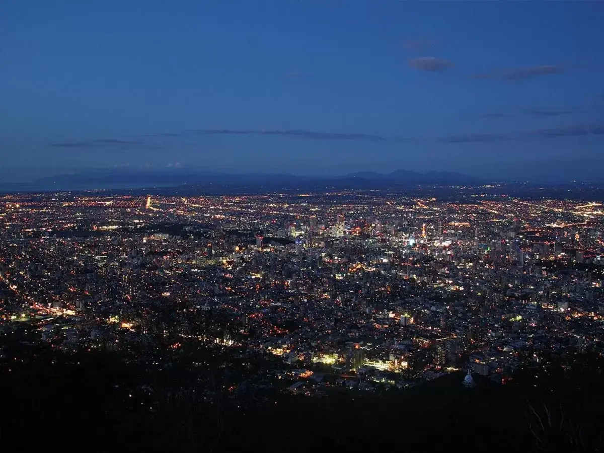 Natural landscape, Bird's-eye View in Hotel Wing International Sapporo Susukino