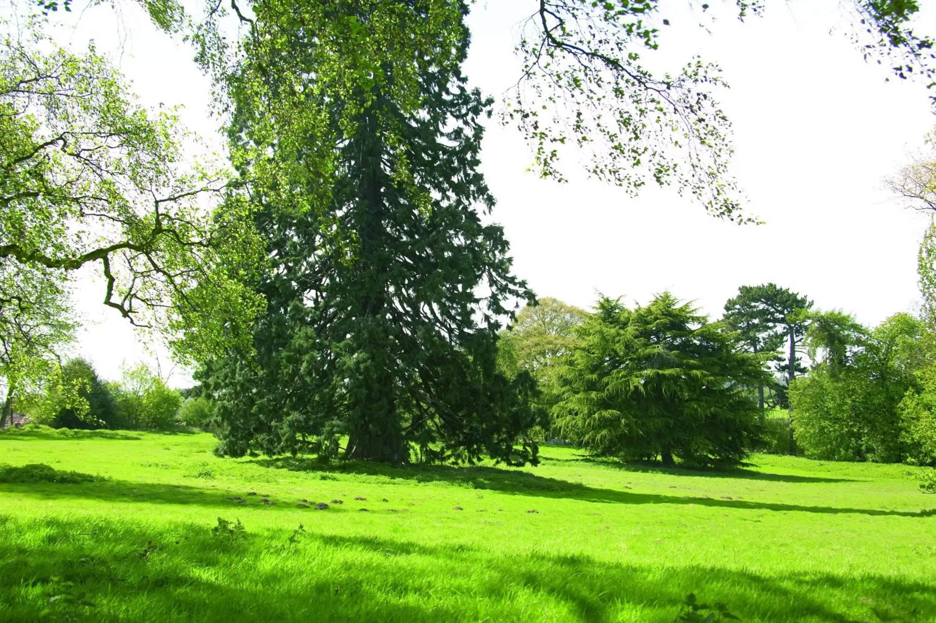 Area and facilities, Garden in Woodland Grange