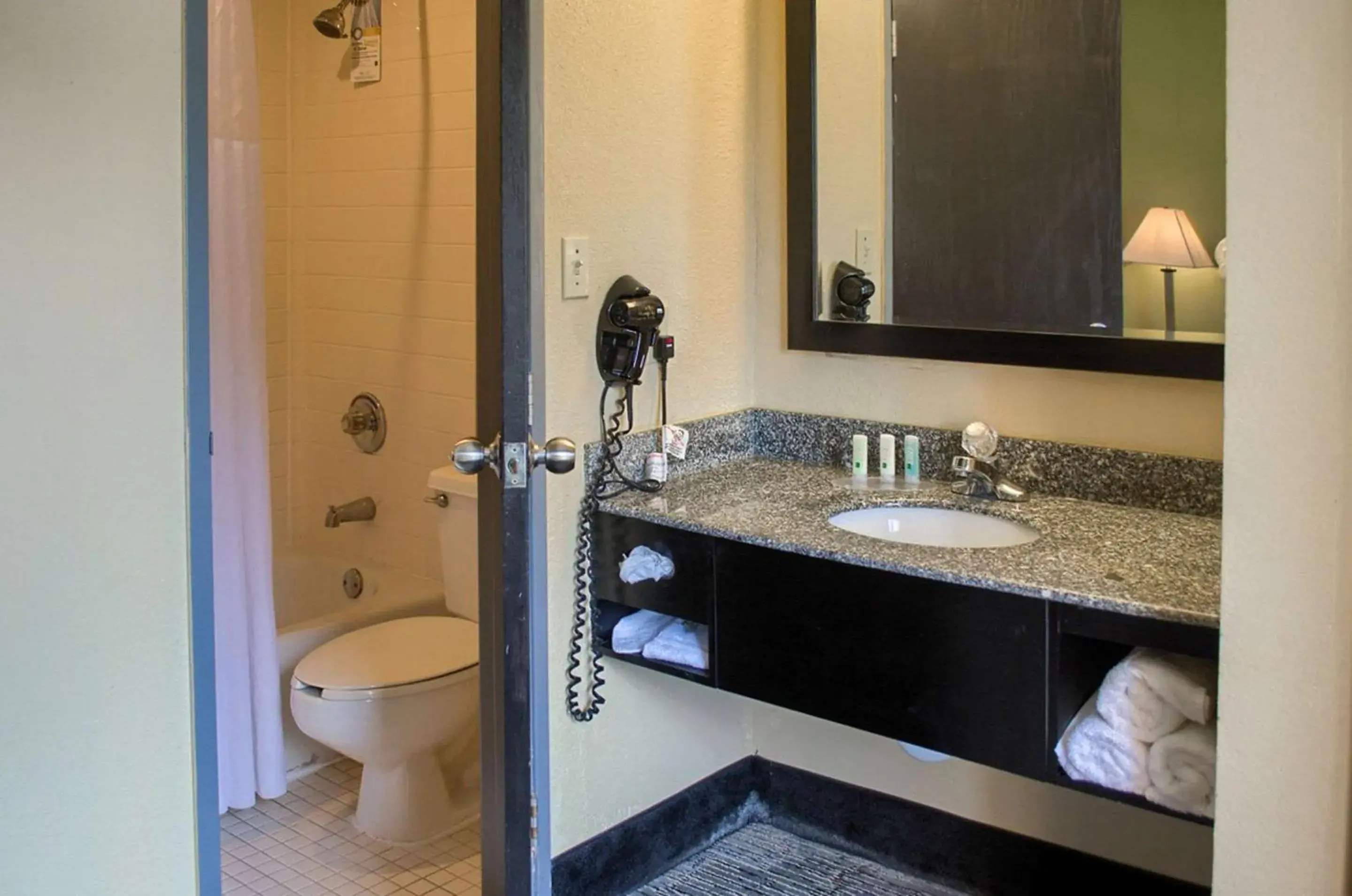 Photo of the whole room, Bathroom in Quality Inn & Suites at Airport Blvd I-65