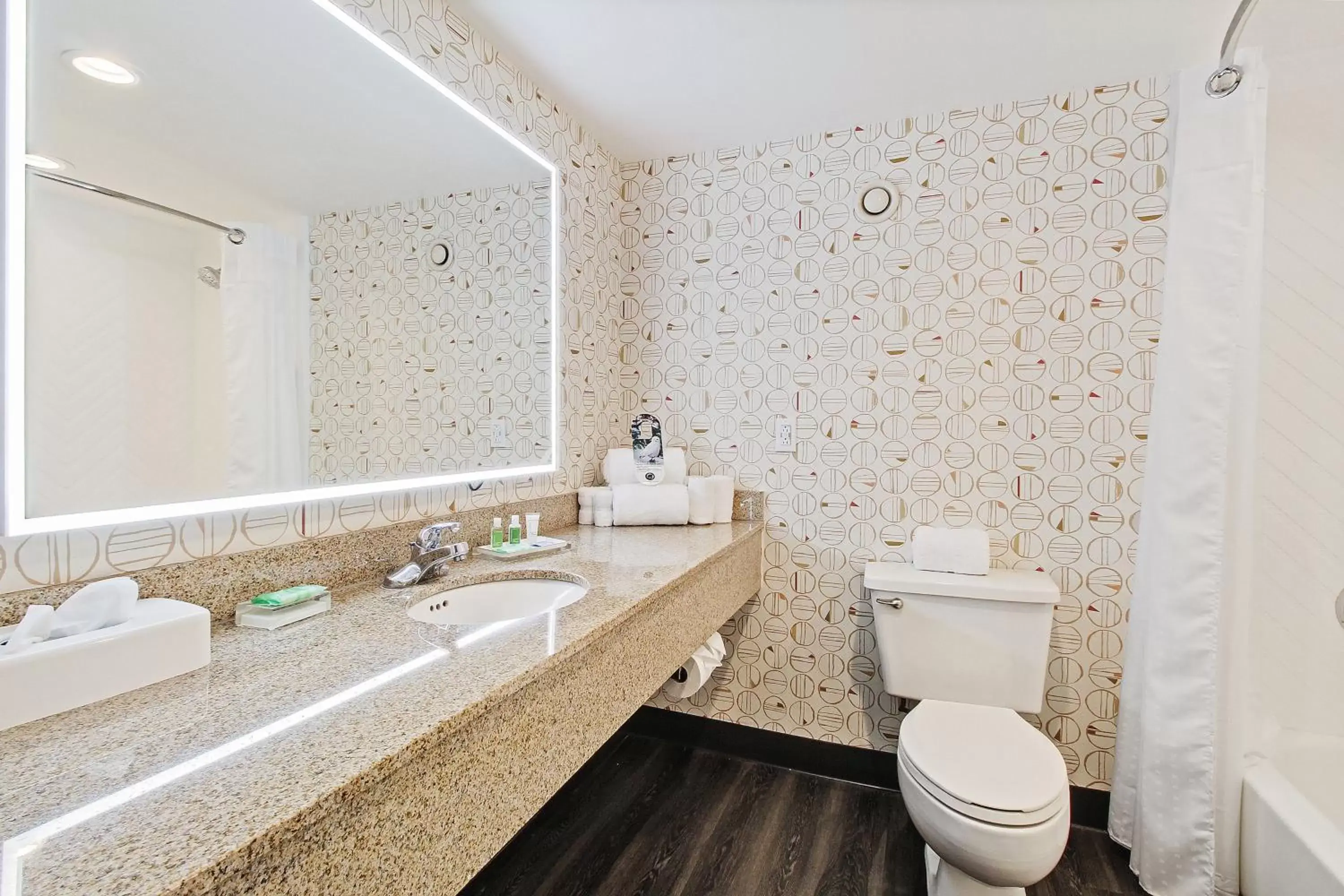 Bathroom in Holiday Inn Chicago Nw Crystal Lk Conv Ctr, an IHG Hotel