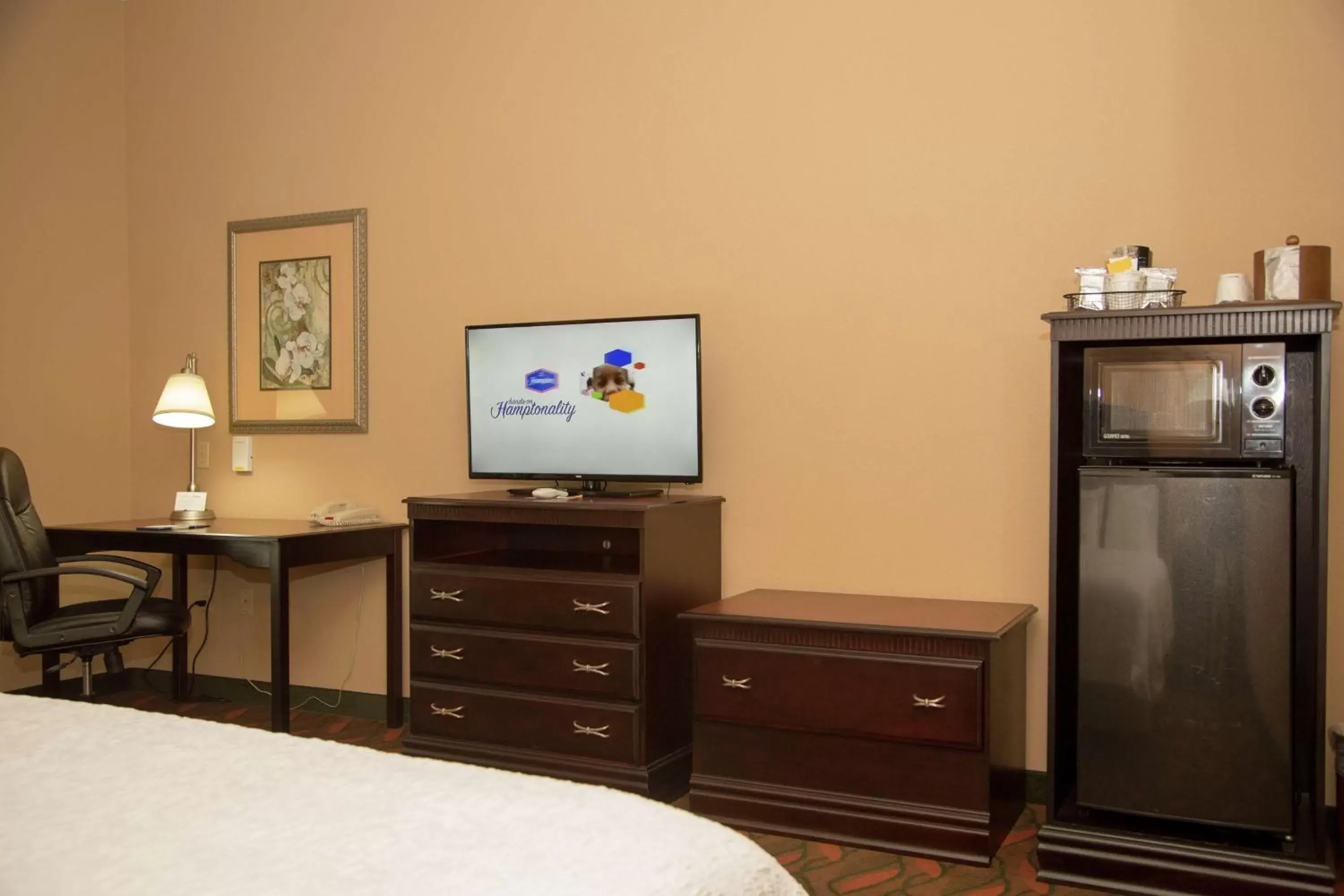 Bedroom, TV/Entertainment Center in Hampton Inn & Suites Houston Rosenberg