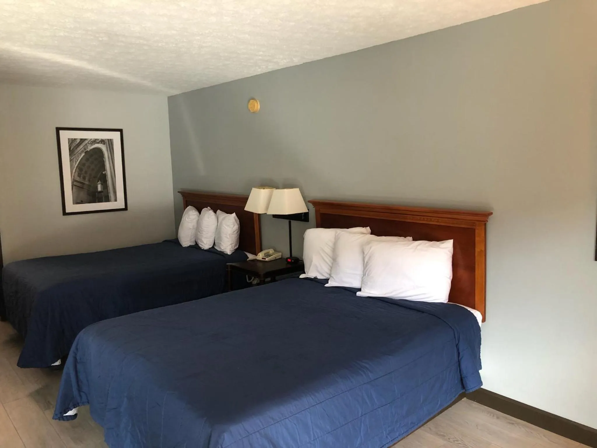 Bed in Springfield Inn TN