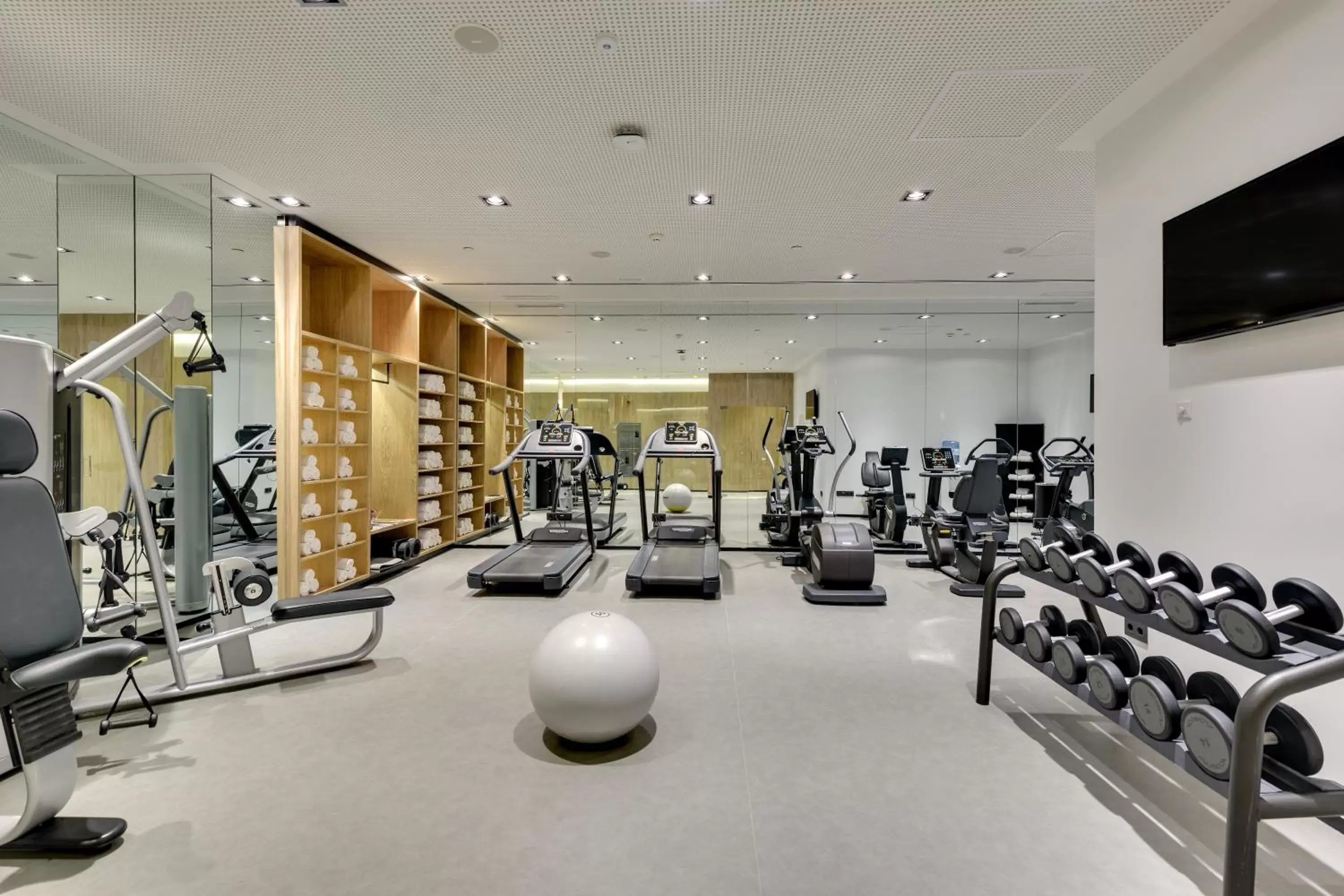 Fitness centre/facilities, Fitness Center/Facilities in Melia Madrid Serrano
