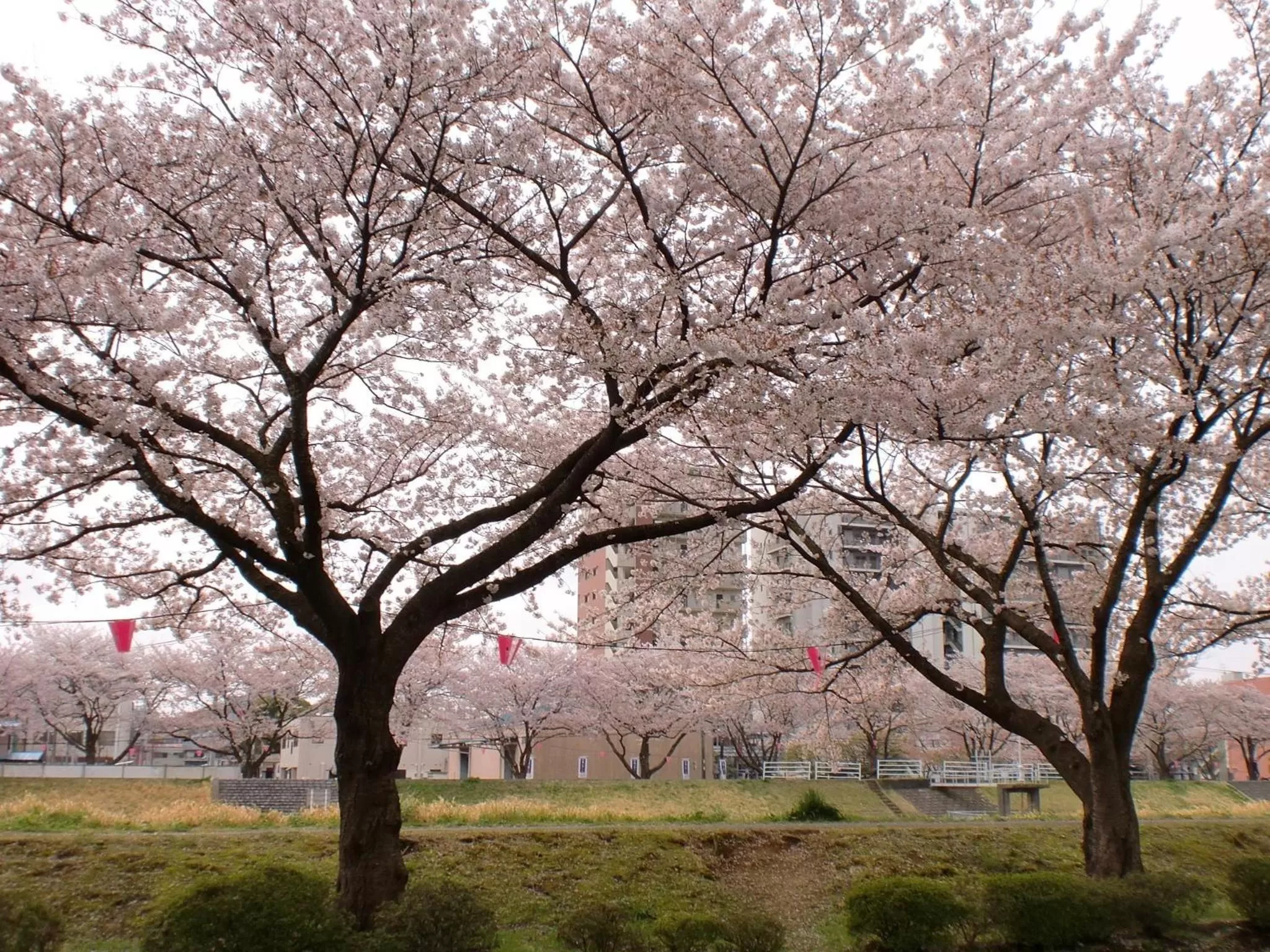 Area and facilities in Smile Hotel Mito