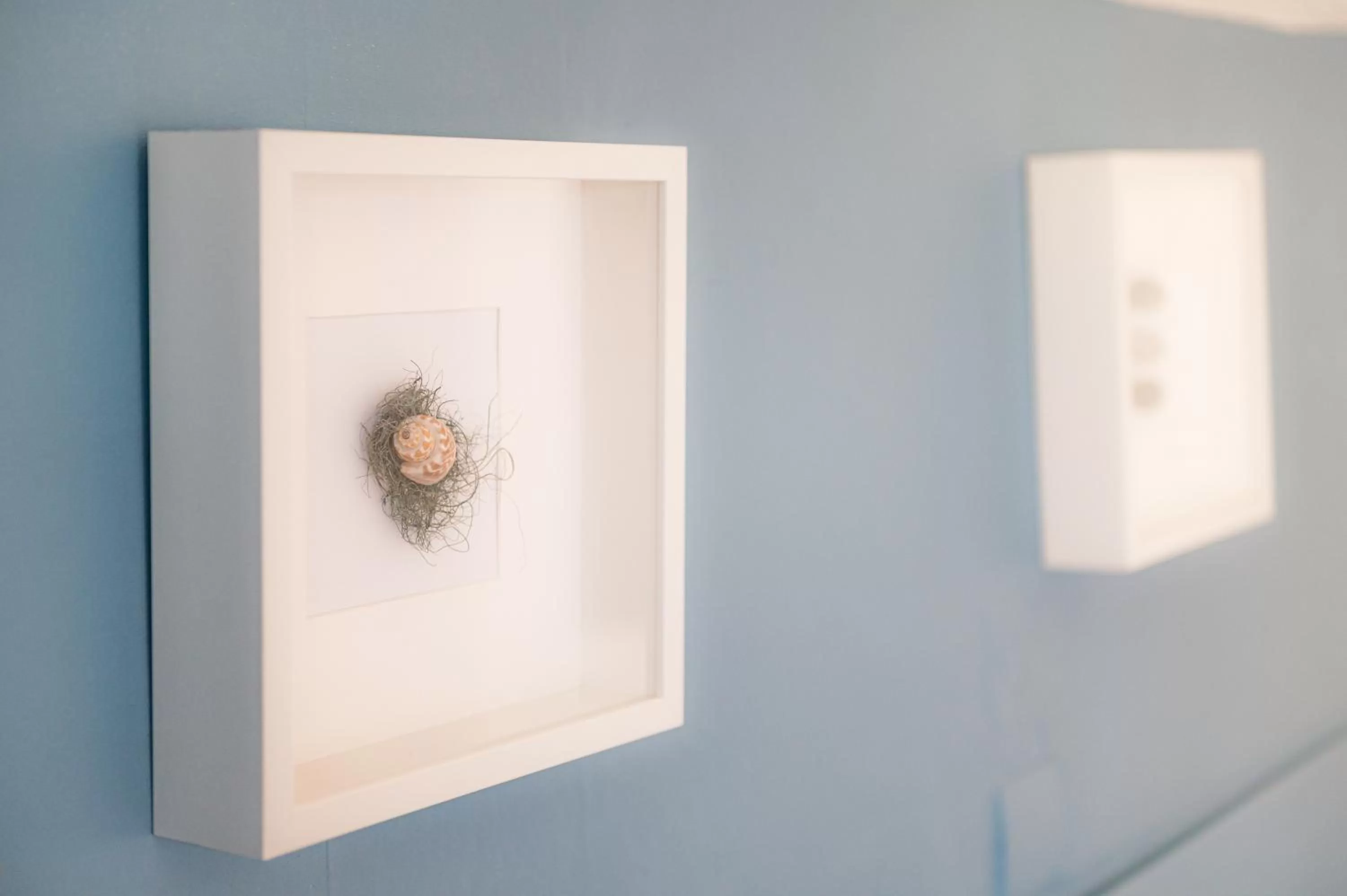 Decorative detail in Brooklands