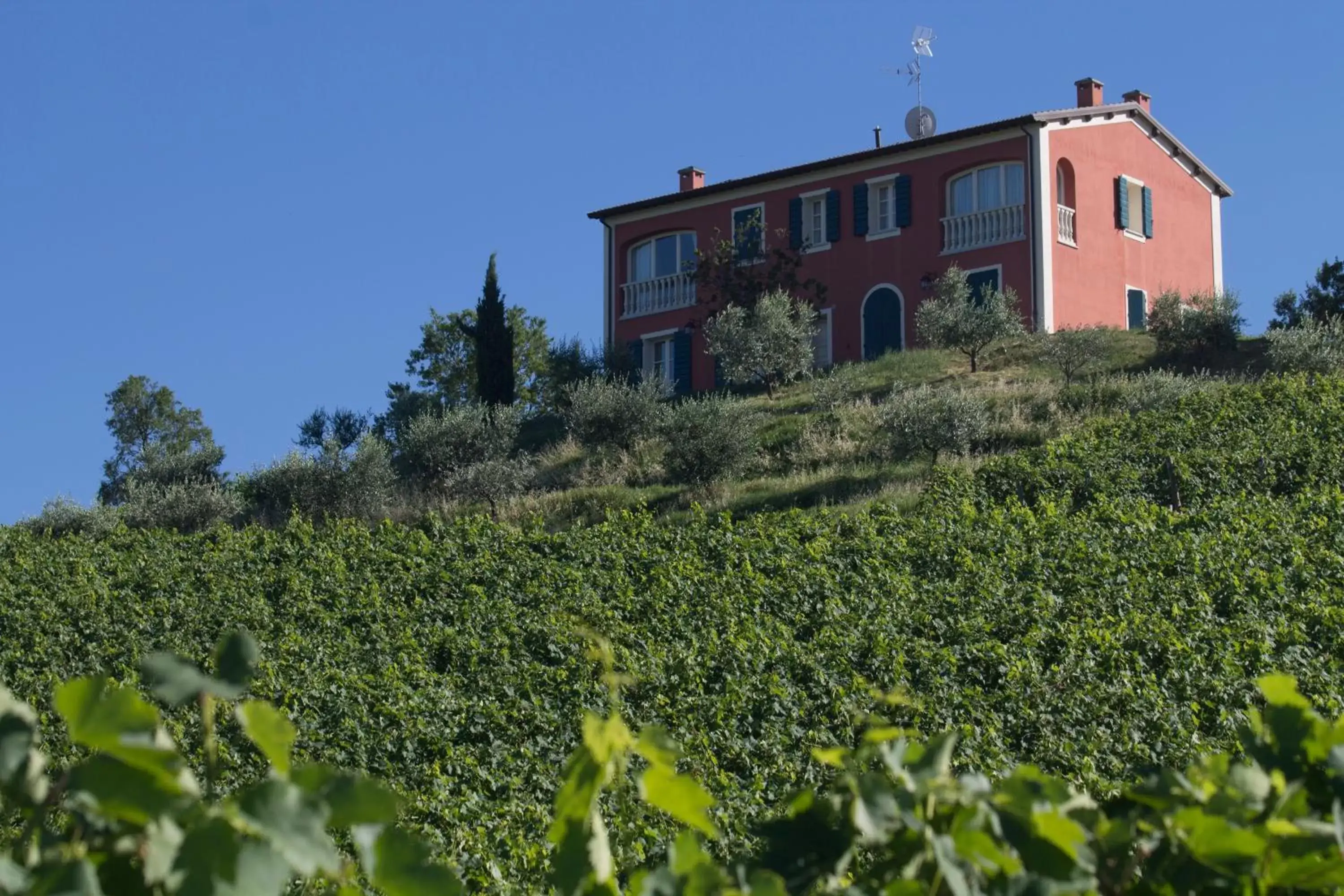 View (from property/room), Property Building in Borgo Conde Wine Resort