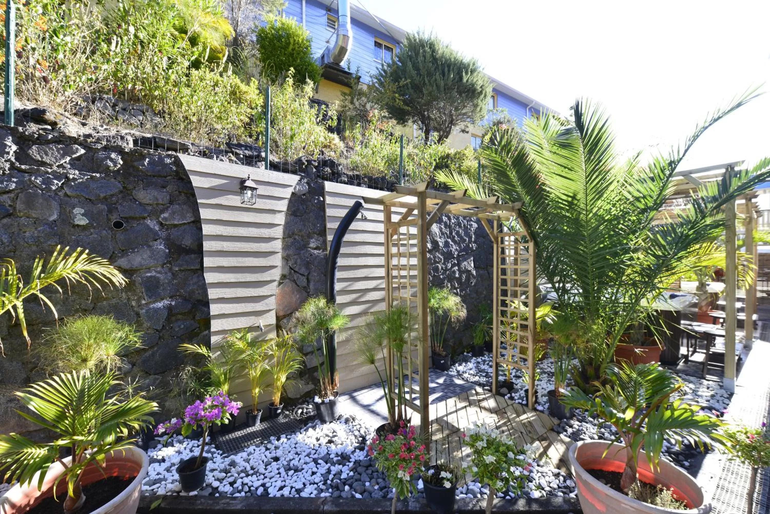 Garden in Hotel Le Cilaos