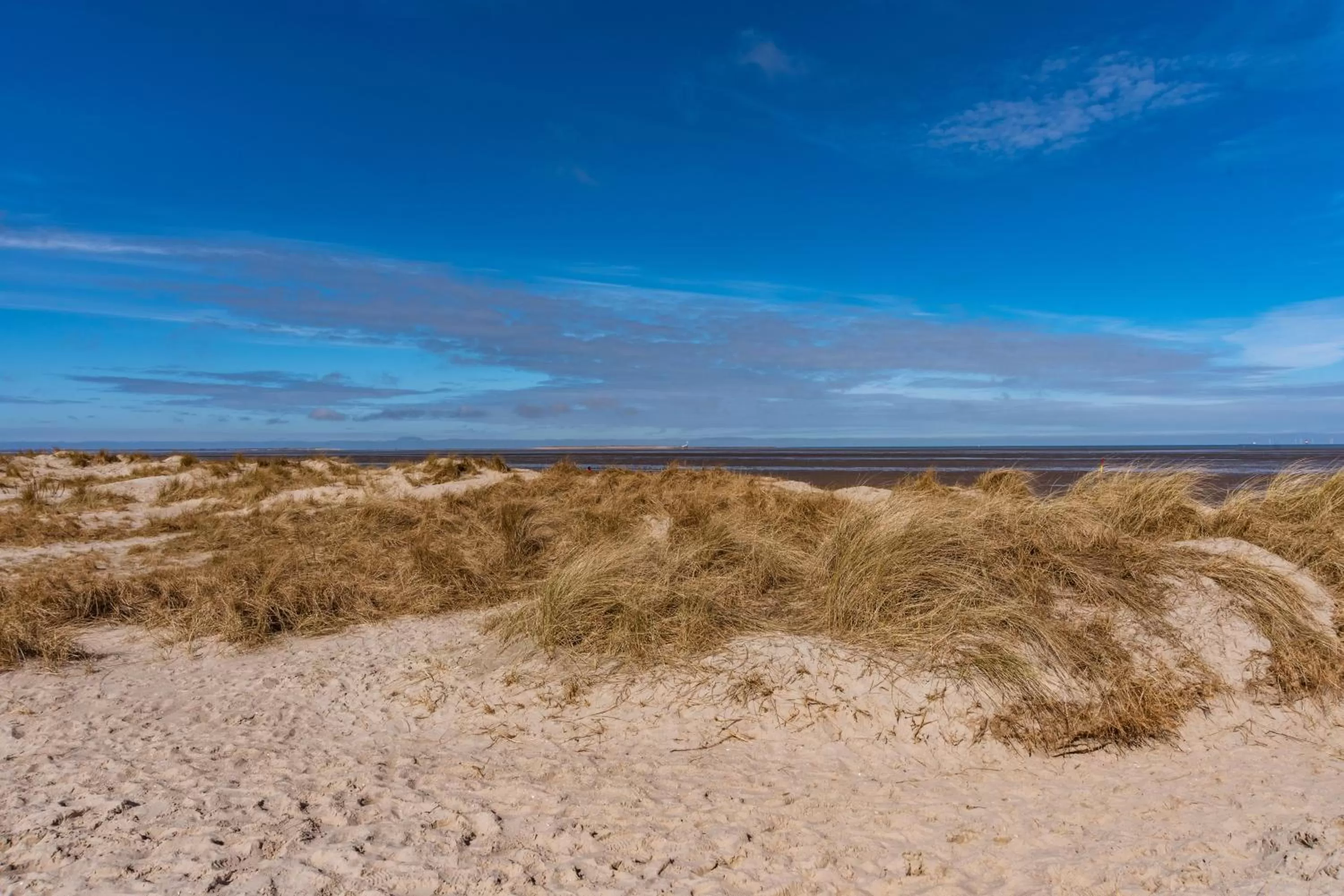 Natural landscape in Hotel Neptun