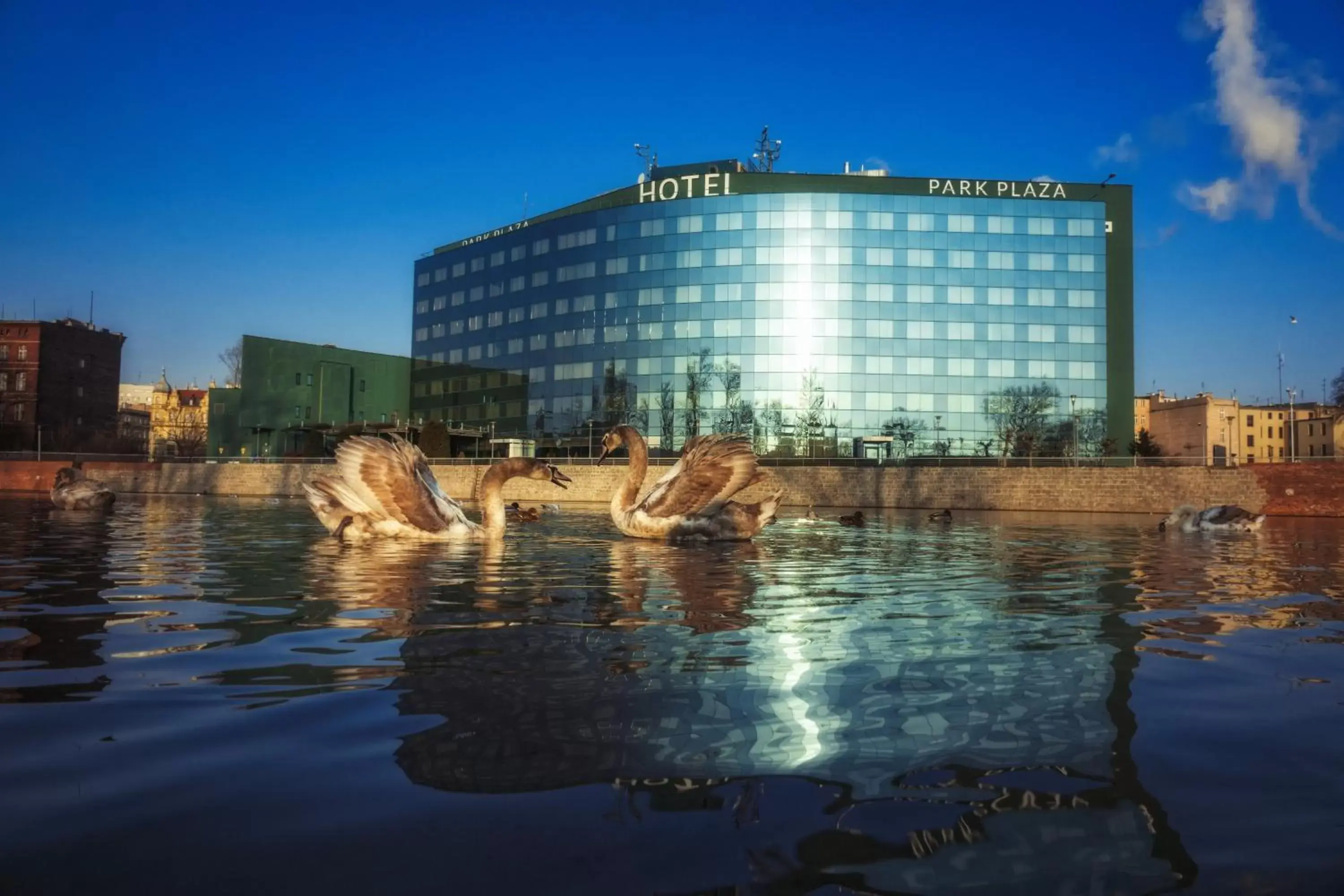 Property building in HP Park Plaza Property building in HP Park Plaza