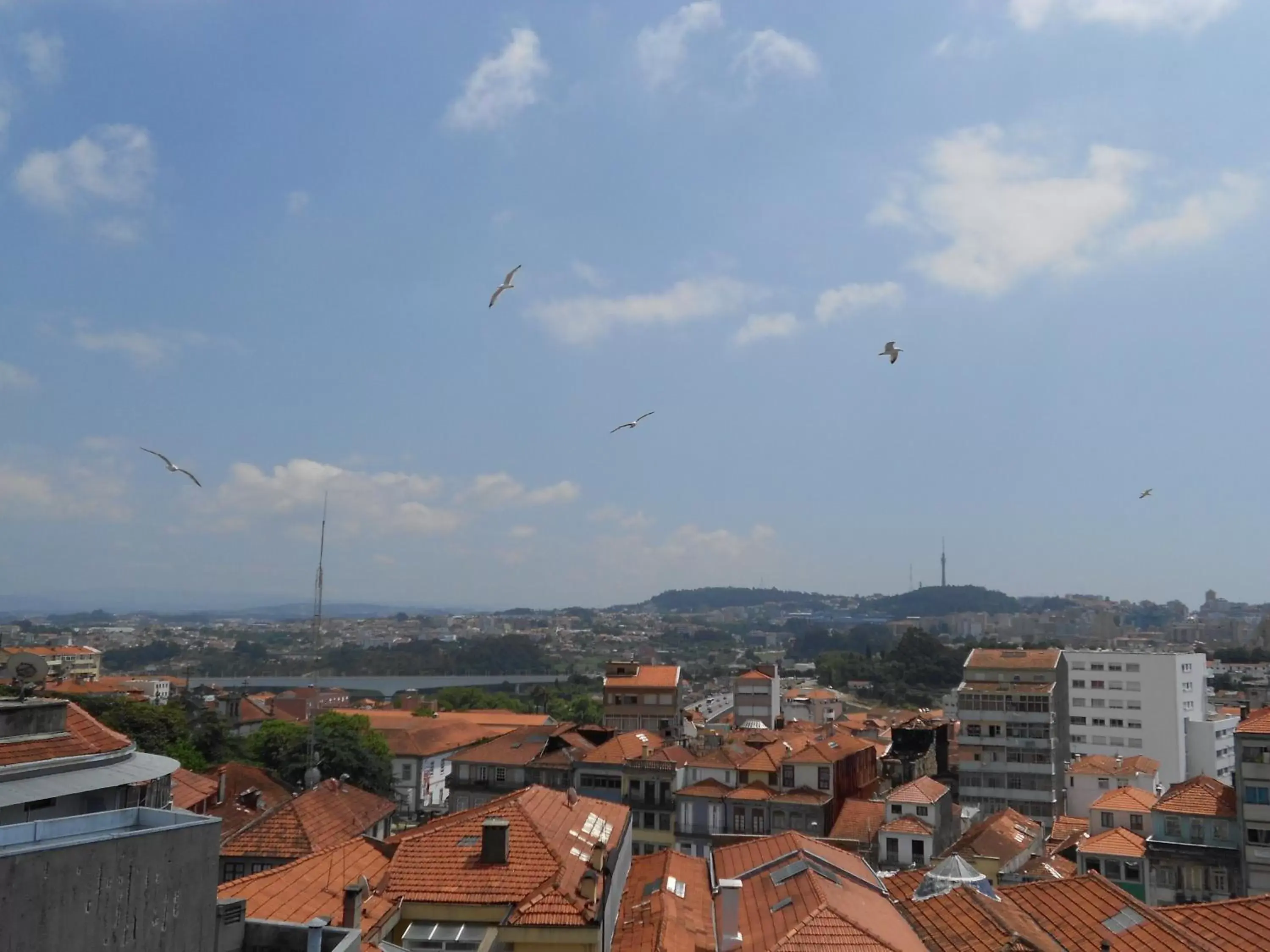 Area and facilities in ibis Porto Centro São Bento