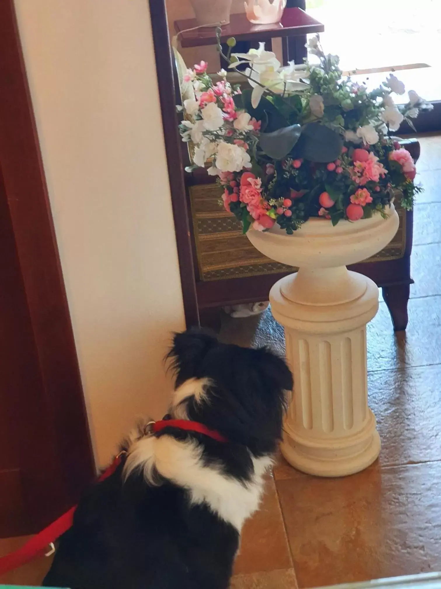 Pets in Grikò Country Hotel