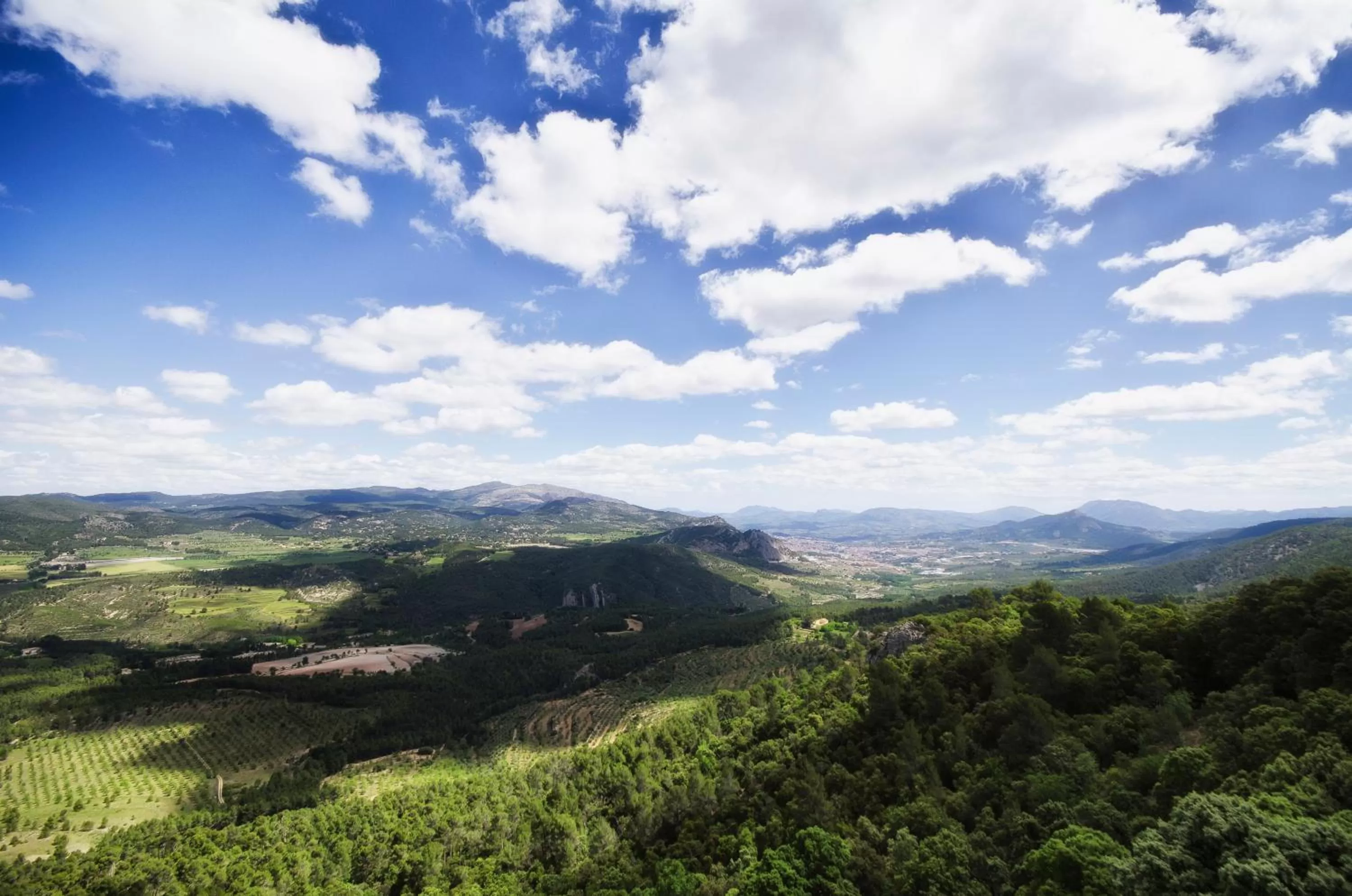 Horse-riding in Eco Hotel con encanto Masía la Mota B&B