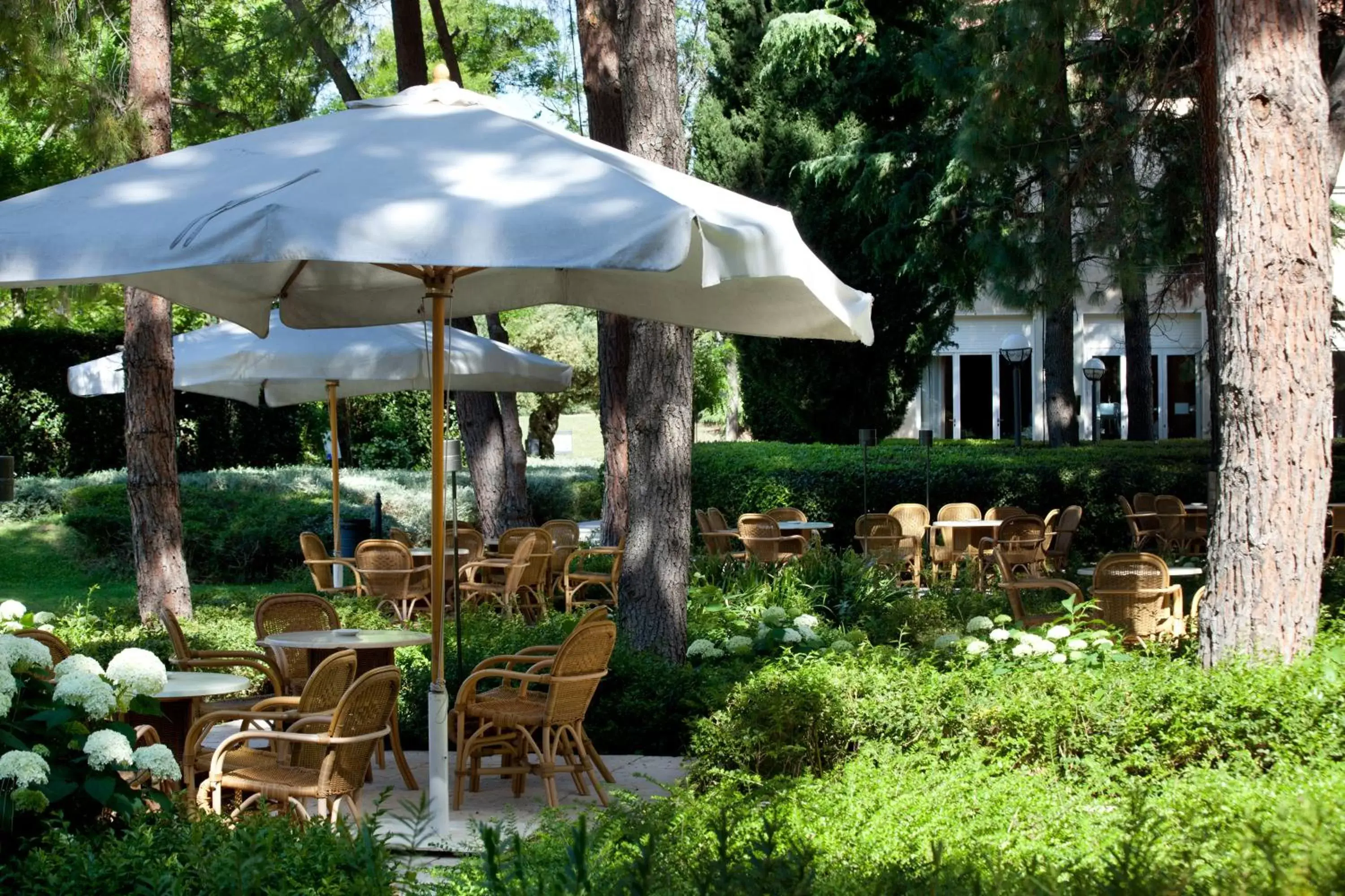 Garden in Villa Maria Hotel & SPA