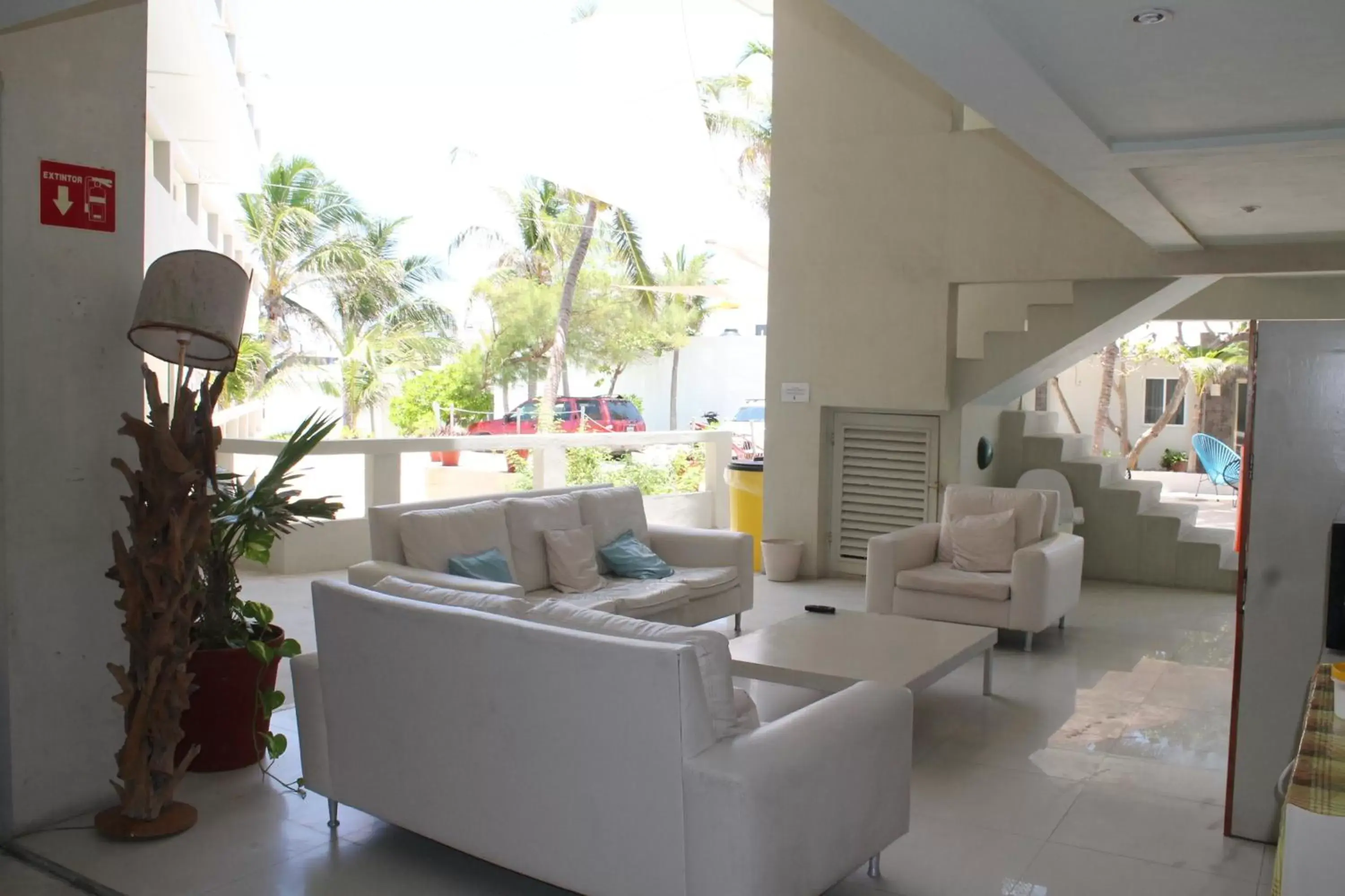 Communal lounge/ TV room, Lobby/Reception in Rocamar Hotel Isla Mujeres