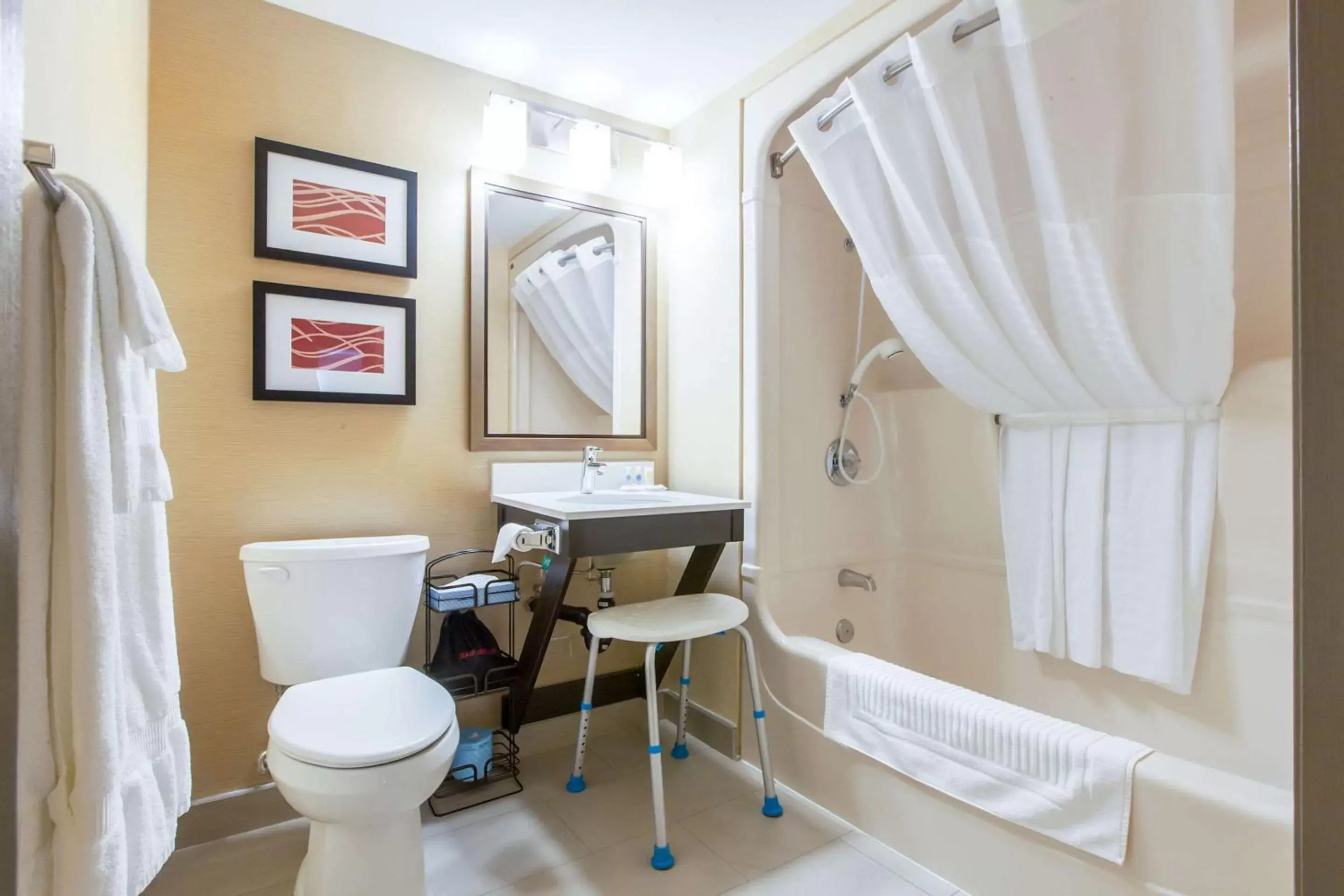 Bedroom, Bathroom in Comfort Inn Chatham