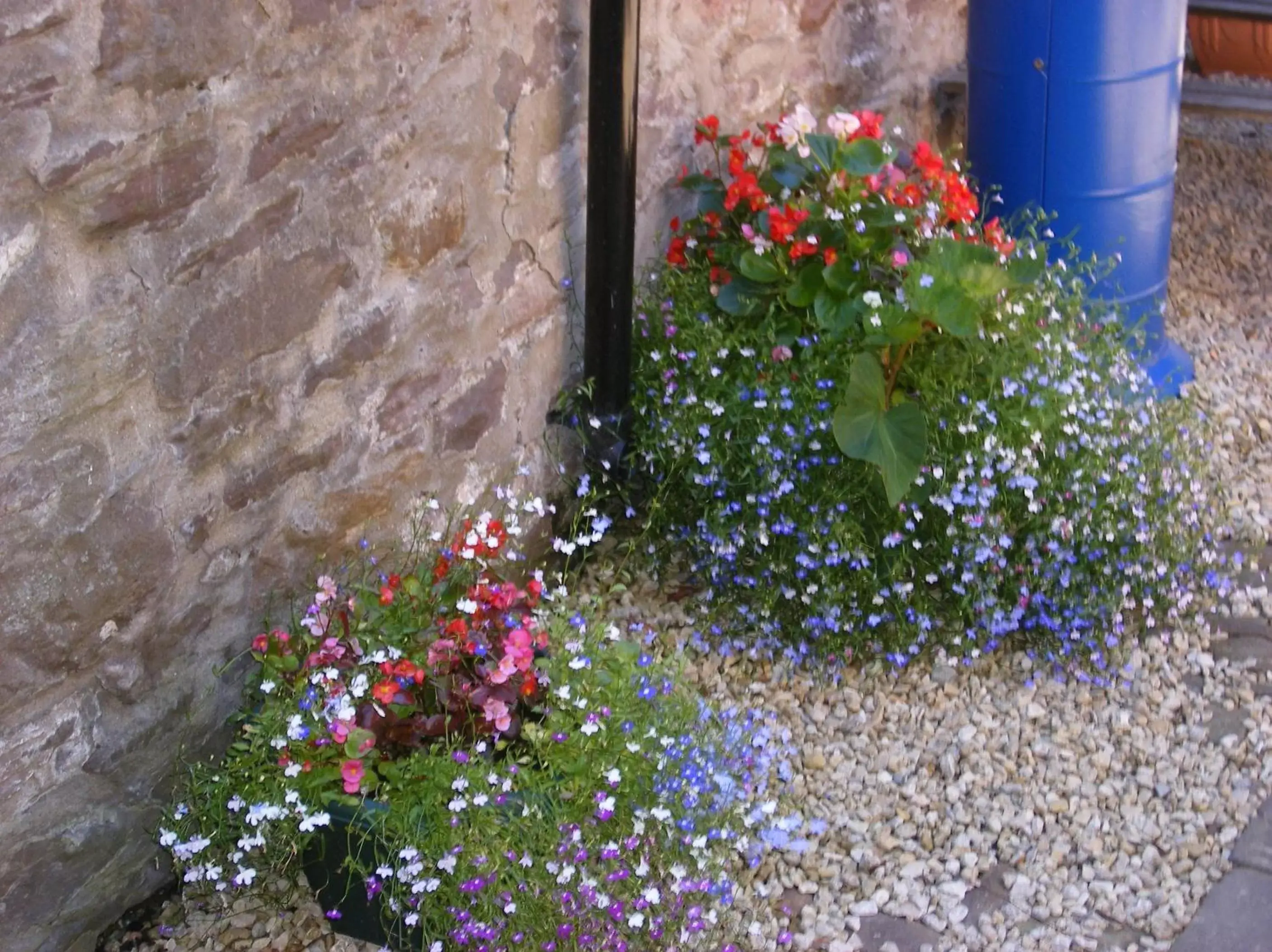 Facade/entrance, Garden in The Kings Head Hotel