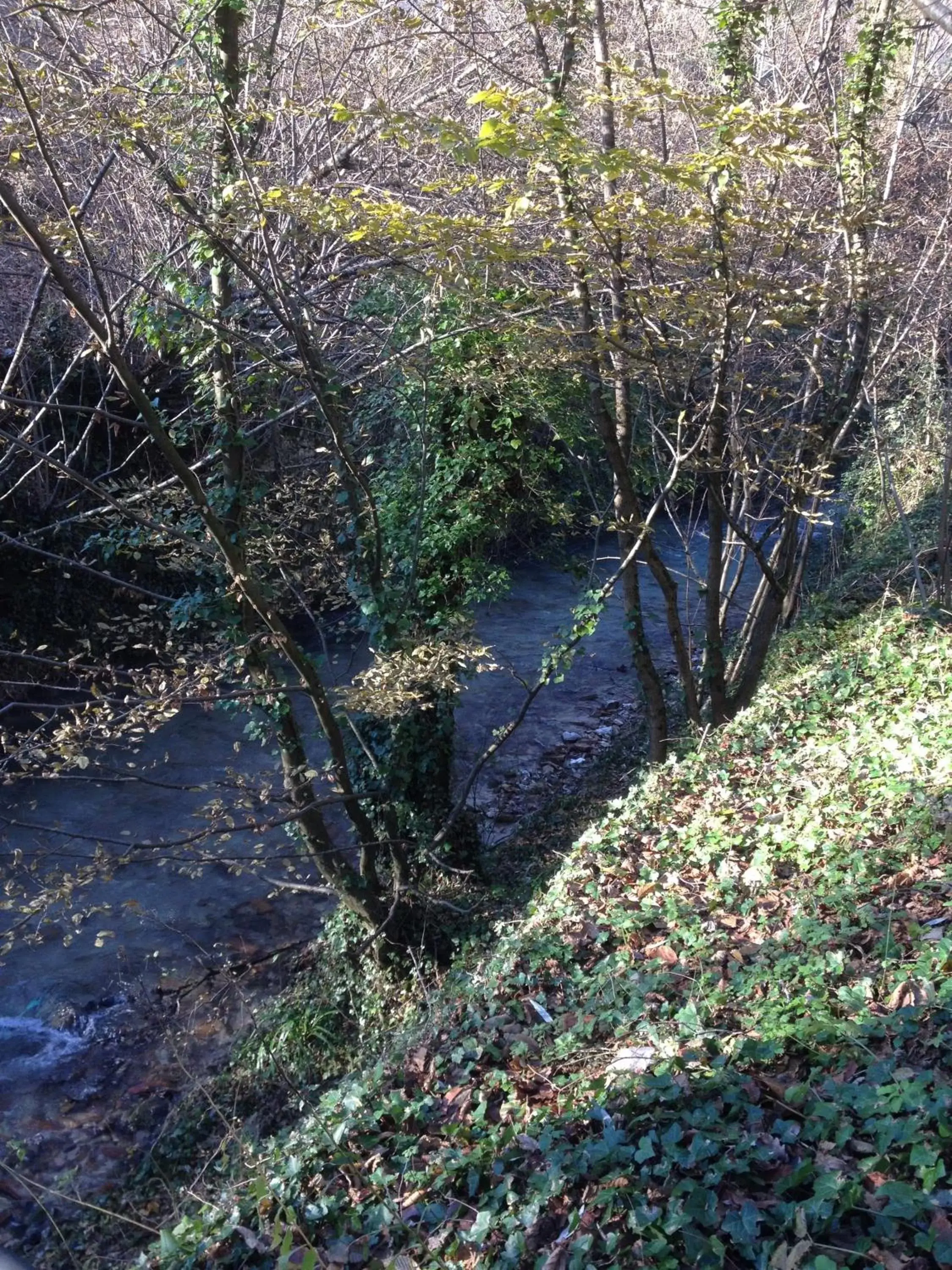 Natural landscape in Bed & Breakfast La Gaggiaspina