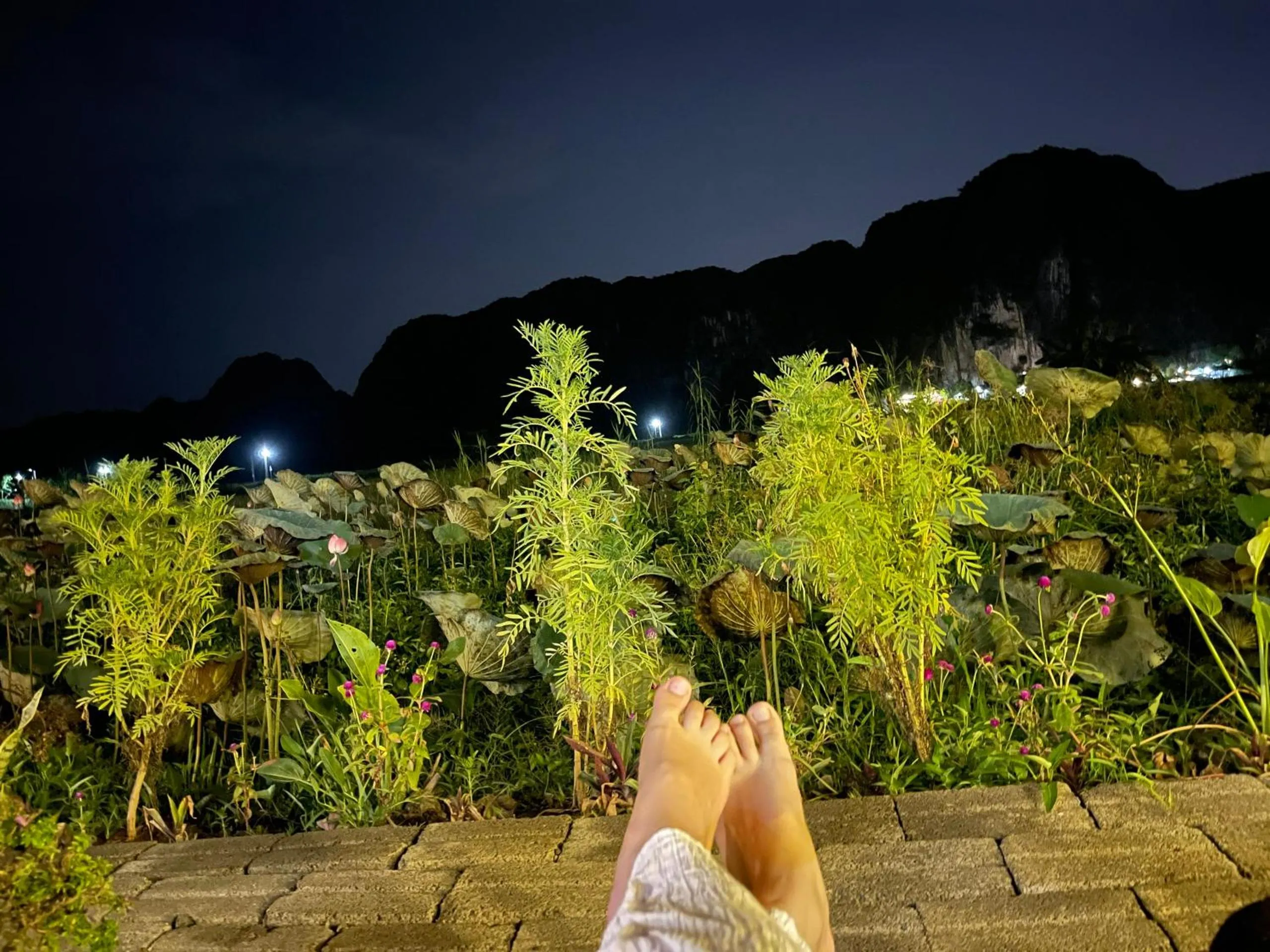 Tam Coc Mountain View Homestay