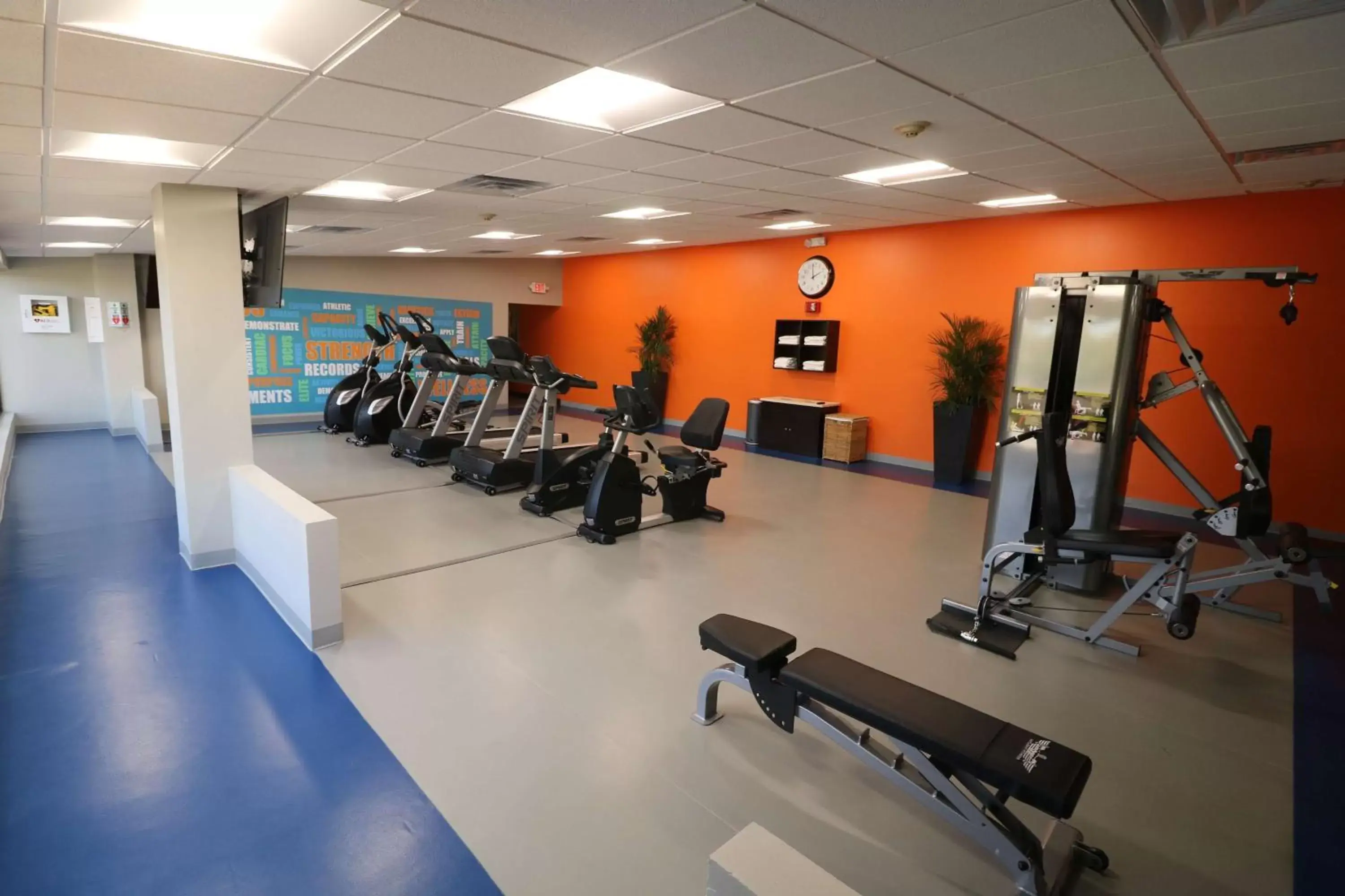 Spa and wellness centre/facilities, Fitness Center/Facilities in Radisson Hotel Southfield-Detroit