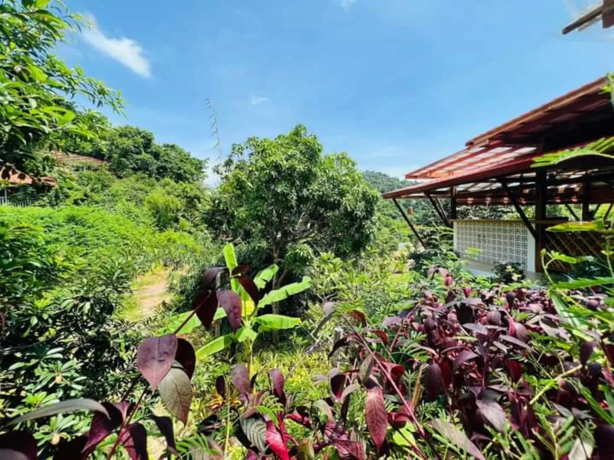 Garden view, Restaurant/Places to Eat in Veranda Natural Resort