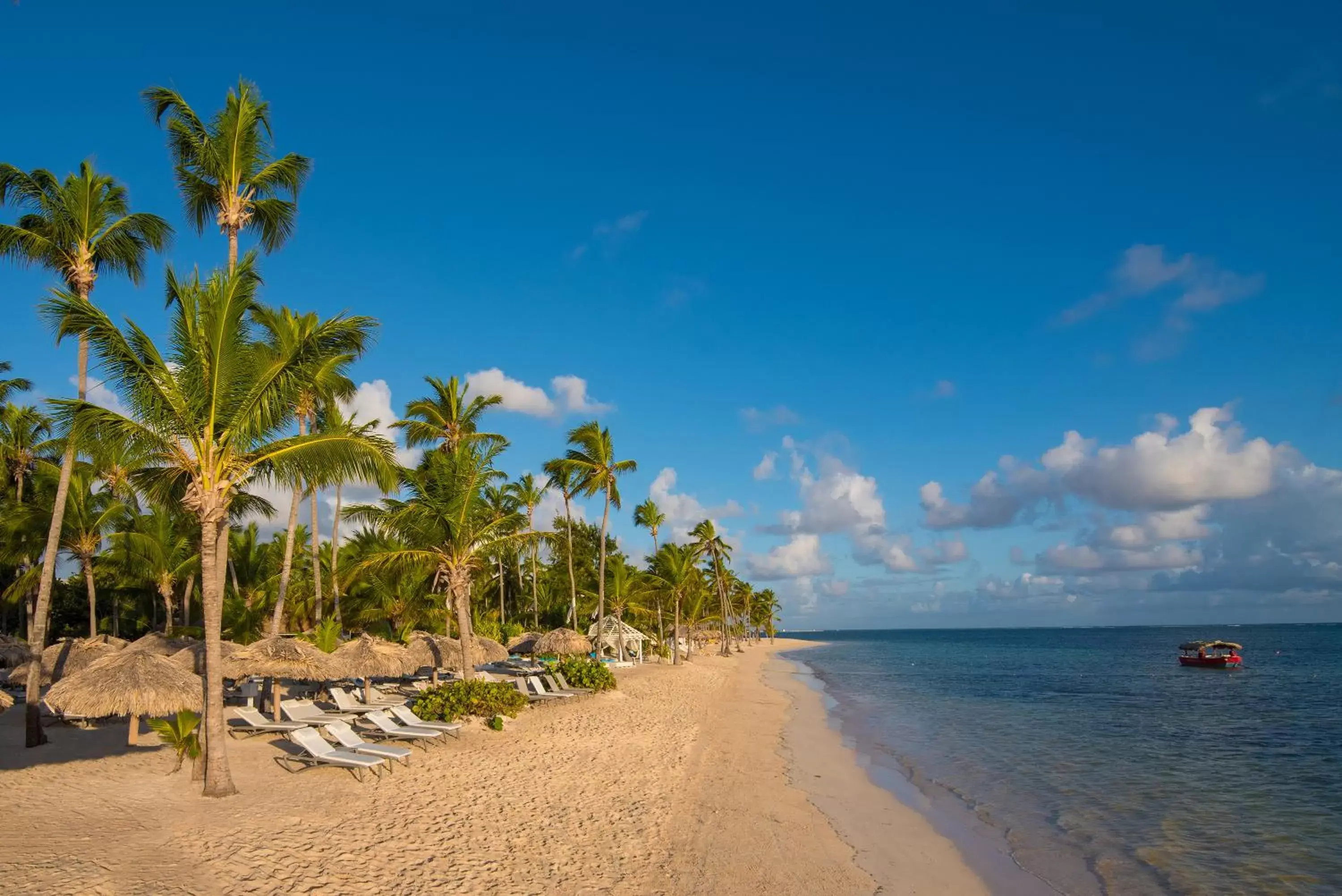 Beach in Catalonia Royal Bavaro - All Inclusive - Adults Only