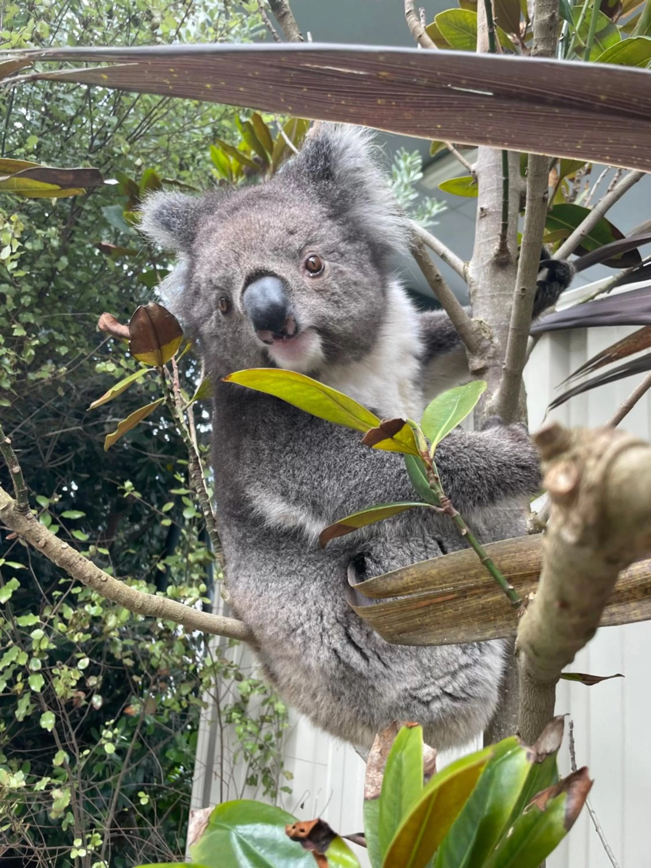 On site in Coastal Motel