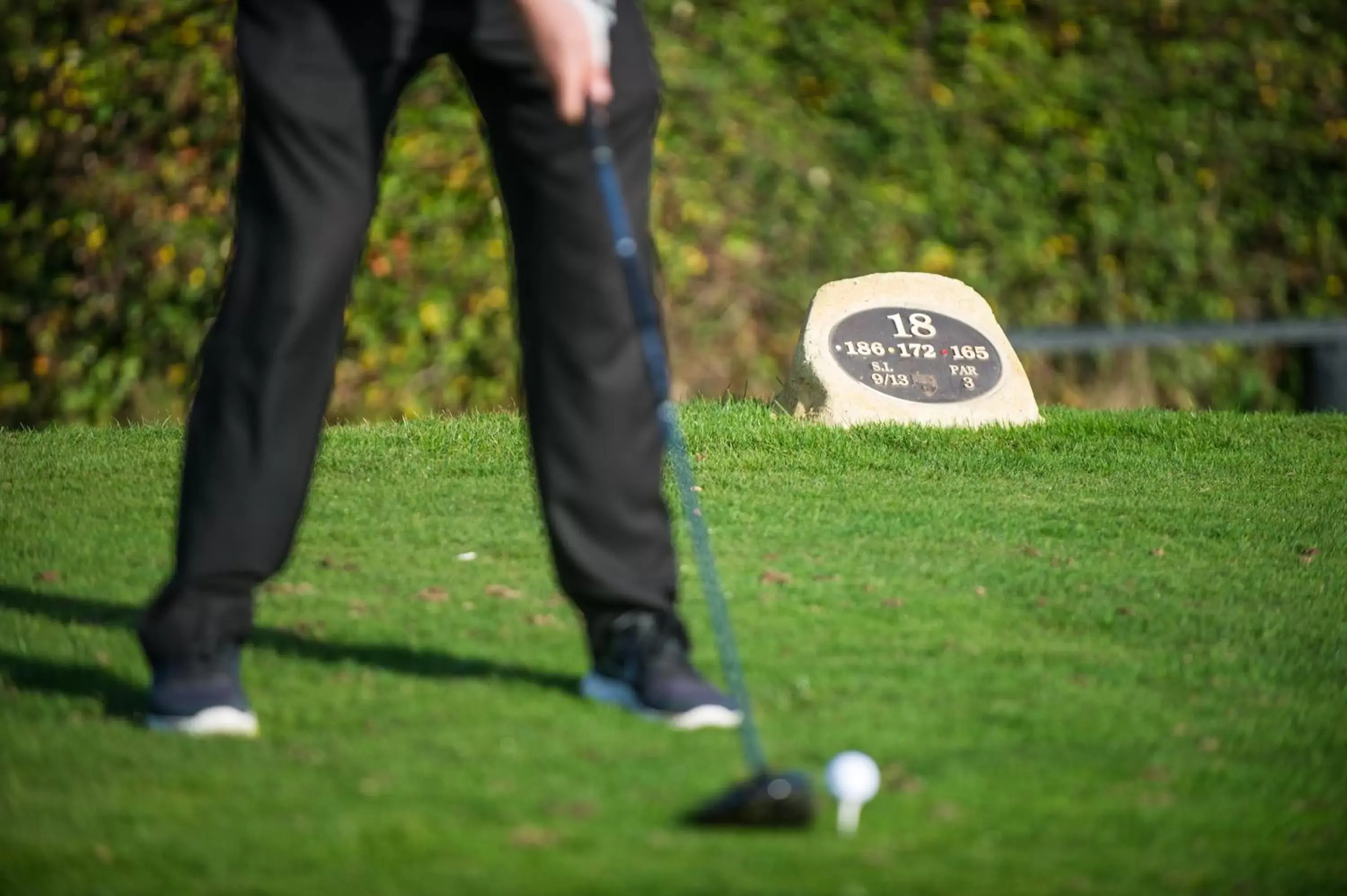 Golfcourse, Garden in The Carlyon Bay Hotel and Spa