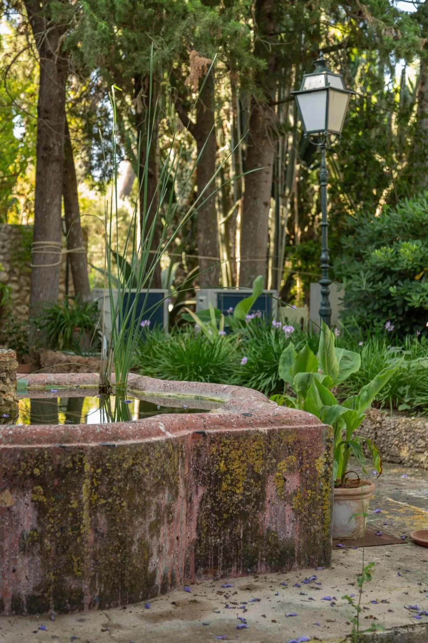 Can Moio Turismo de Interior