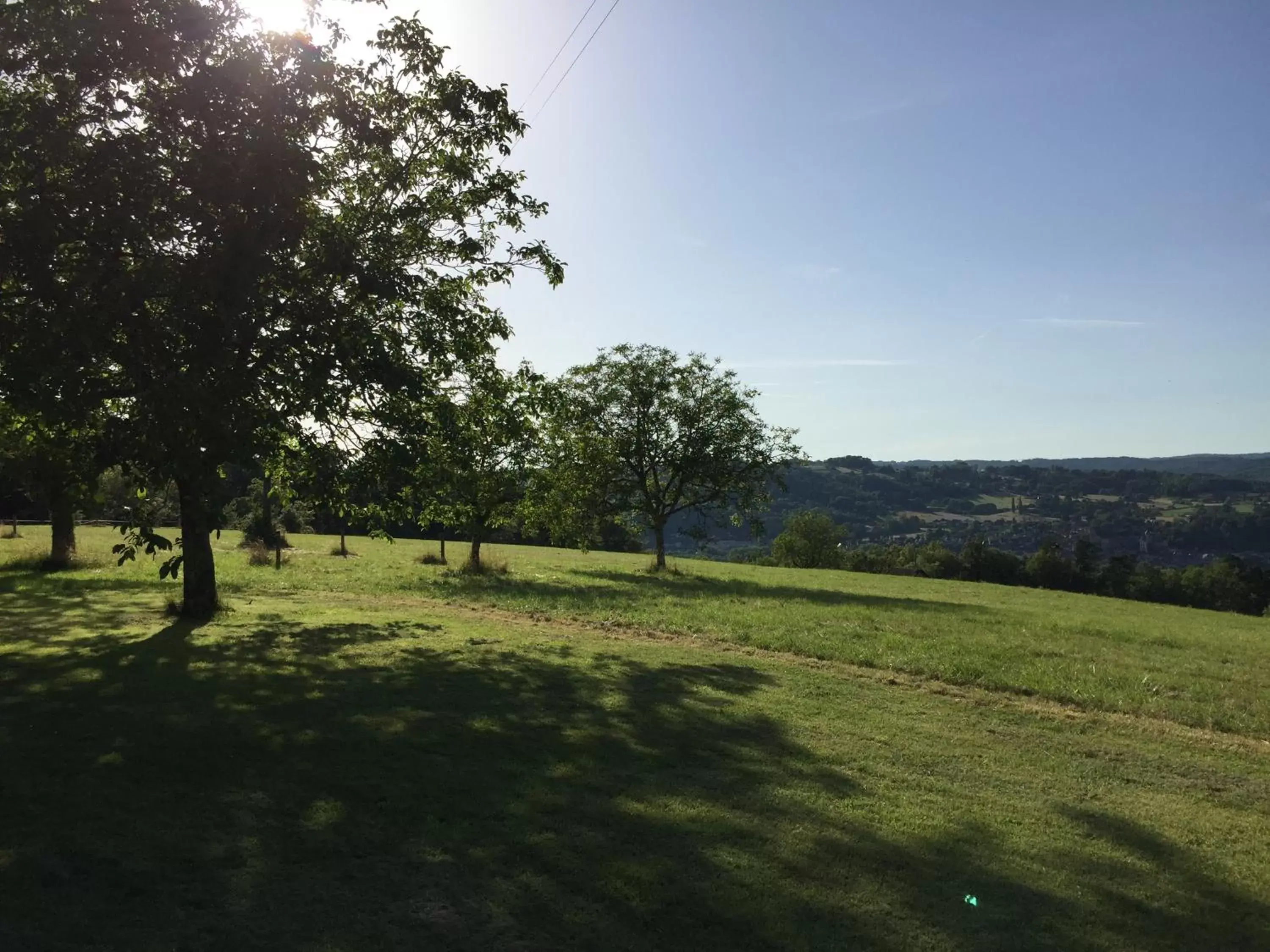 Garden view, Garden in Domaine de Lascaux