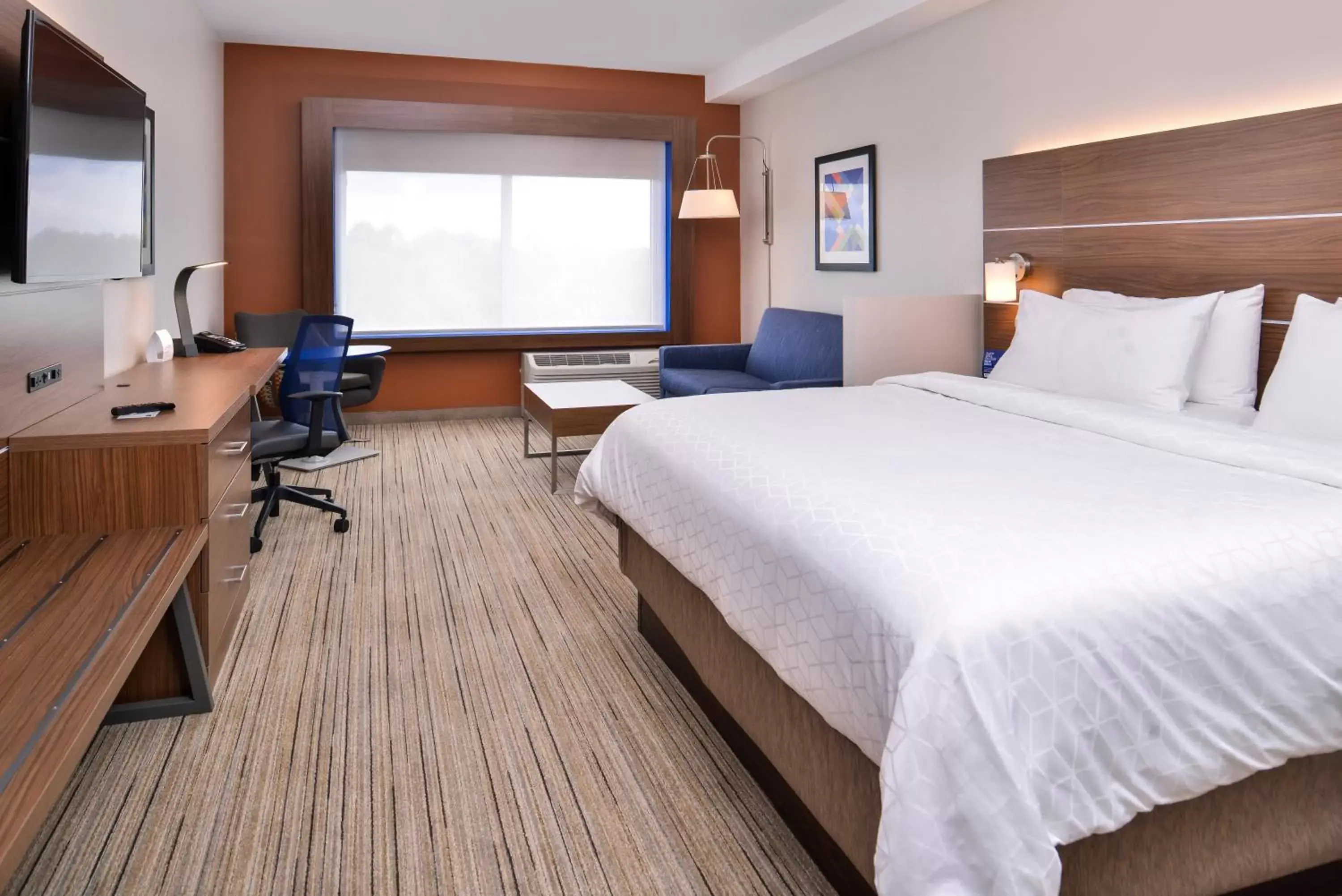 Photo of the whole room, Bed in Holiday Inn Express & Suites Farmville, an IHG Hotel