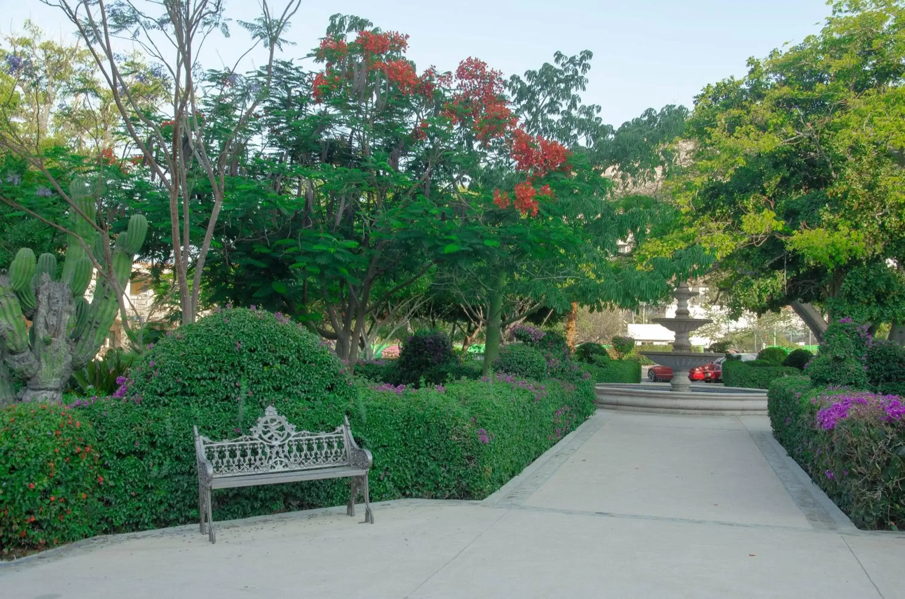 Garden in Pedregal Suites - Marina and Downtown