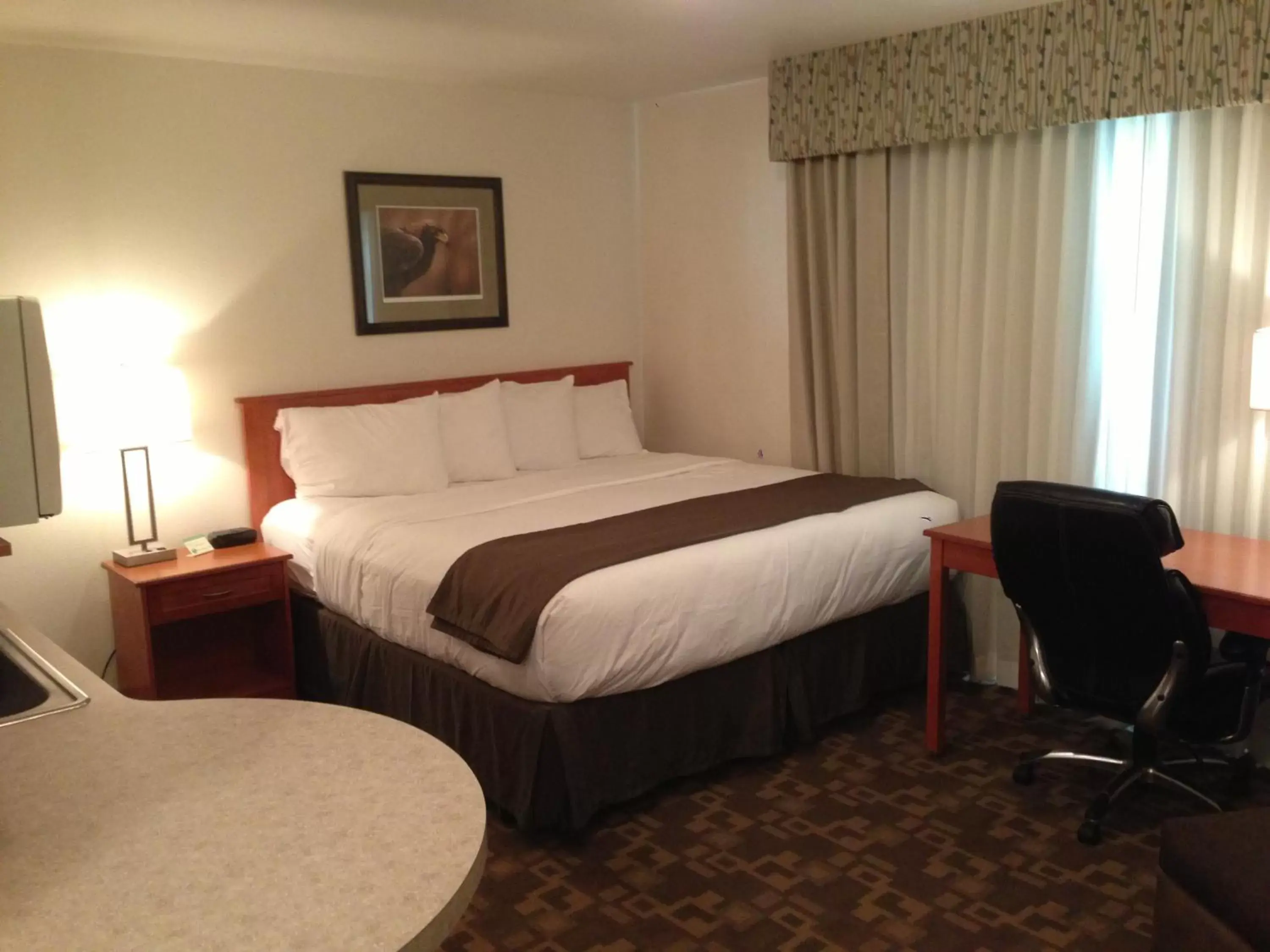 Photo of the whole room, Bed in Alaska's Select Inn Wasilla